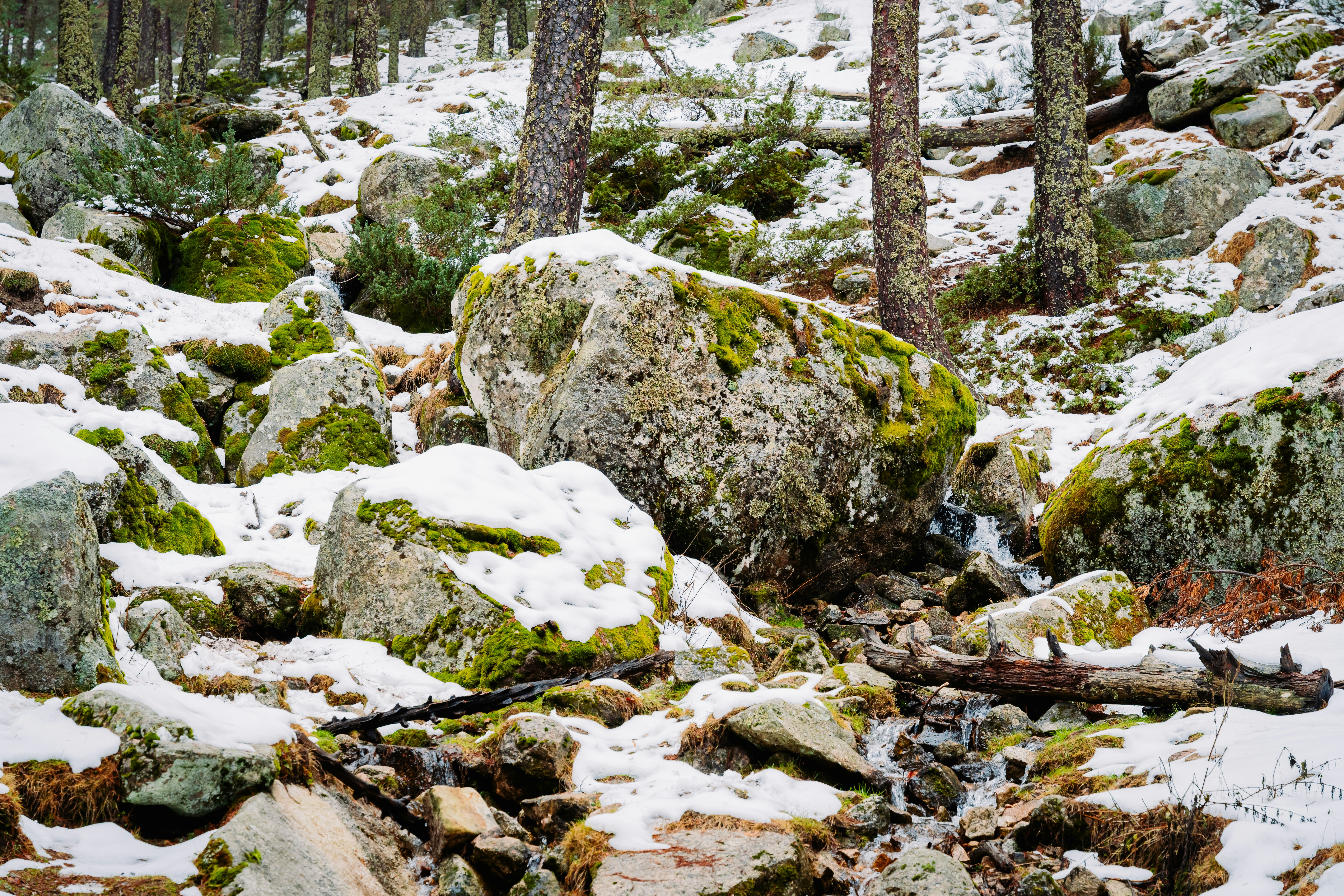 Photo by raphael_nicolas