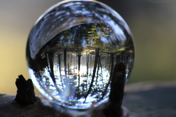 Trees reflected in a glass sphere on a branch