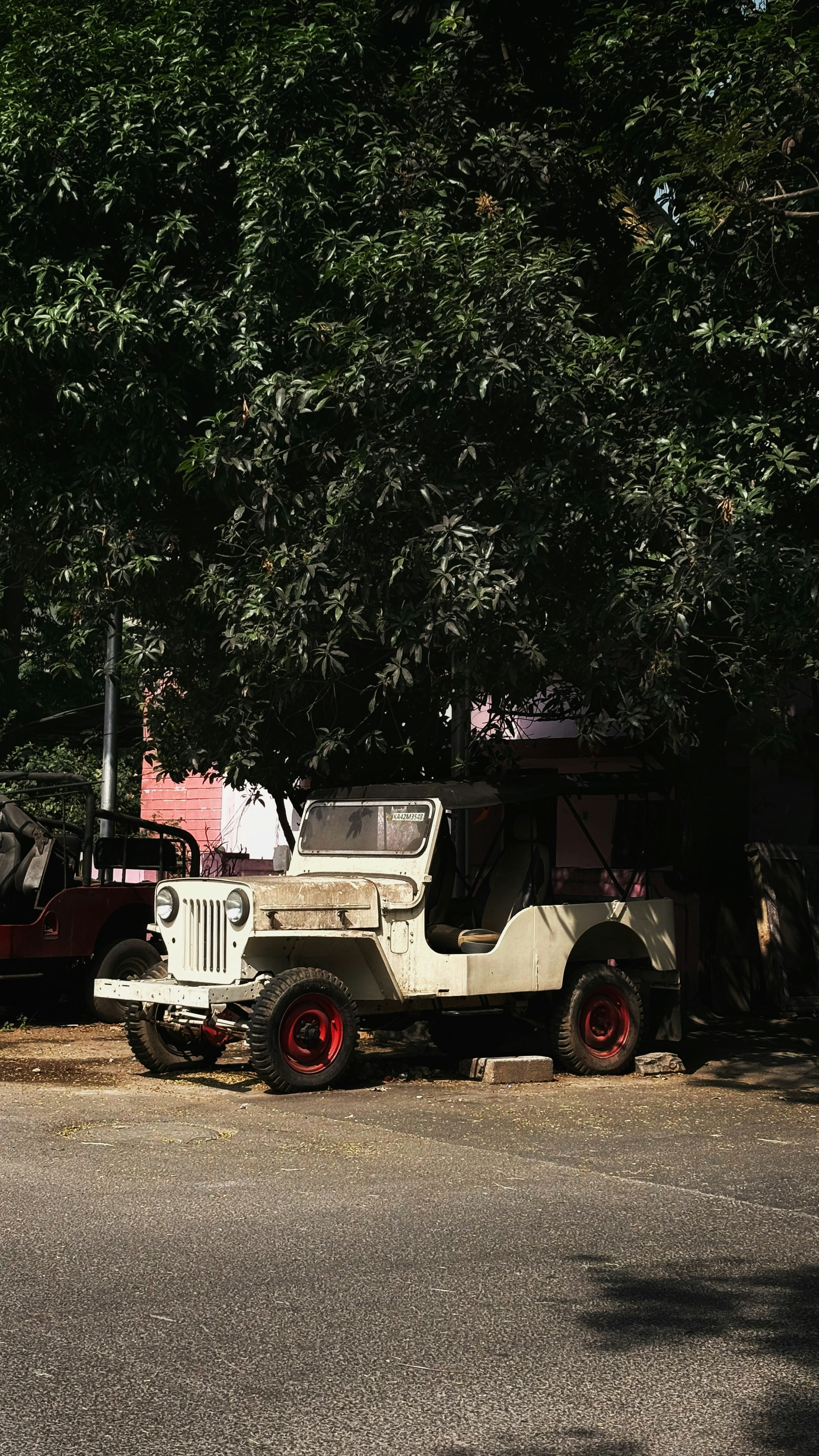 Photo by kashcyaptures