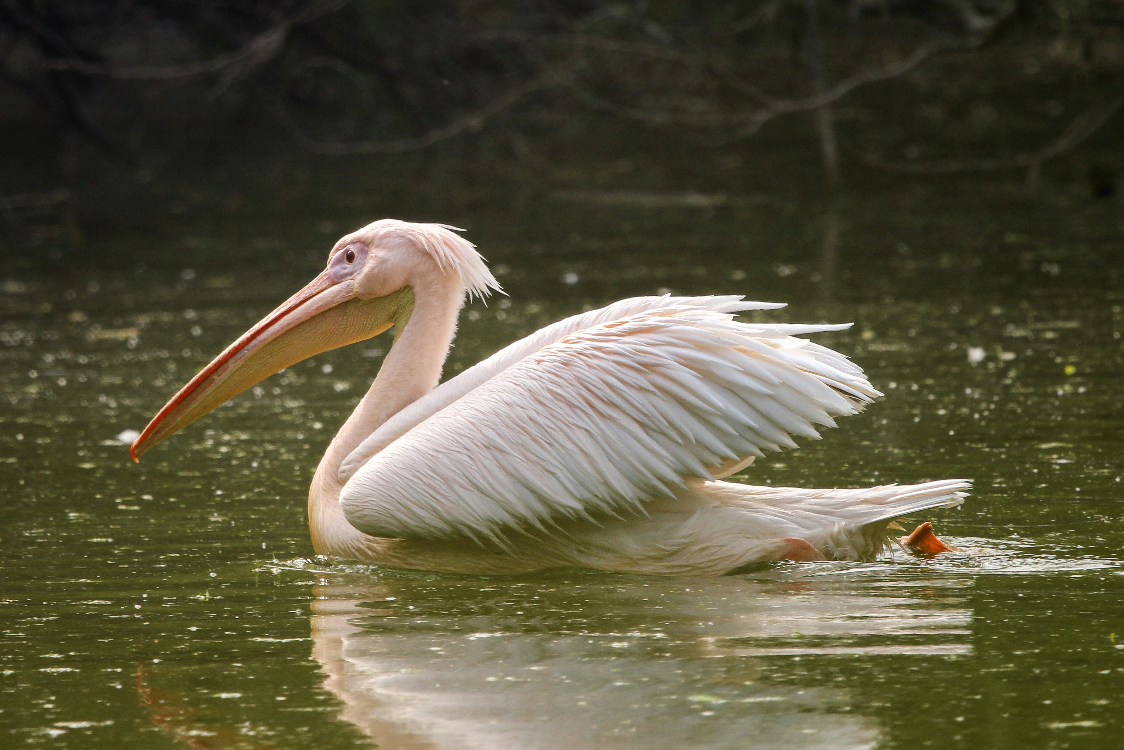 Photo by gupta_pranav28