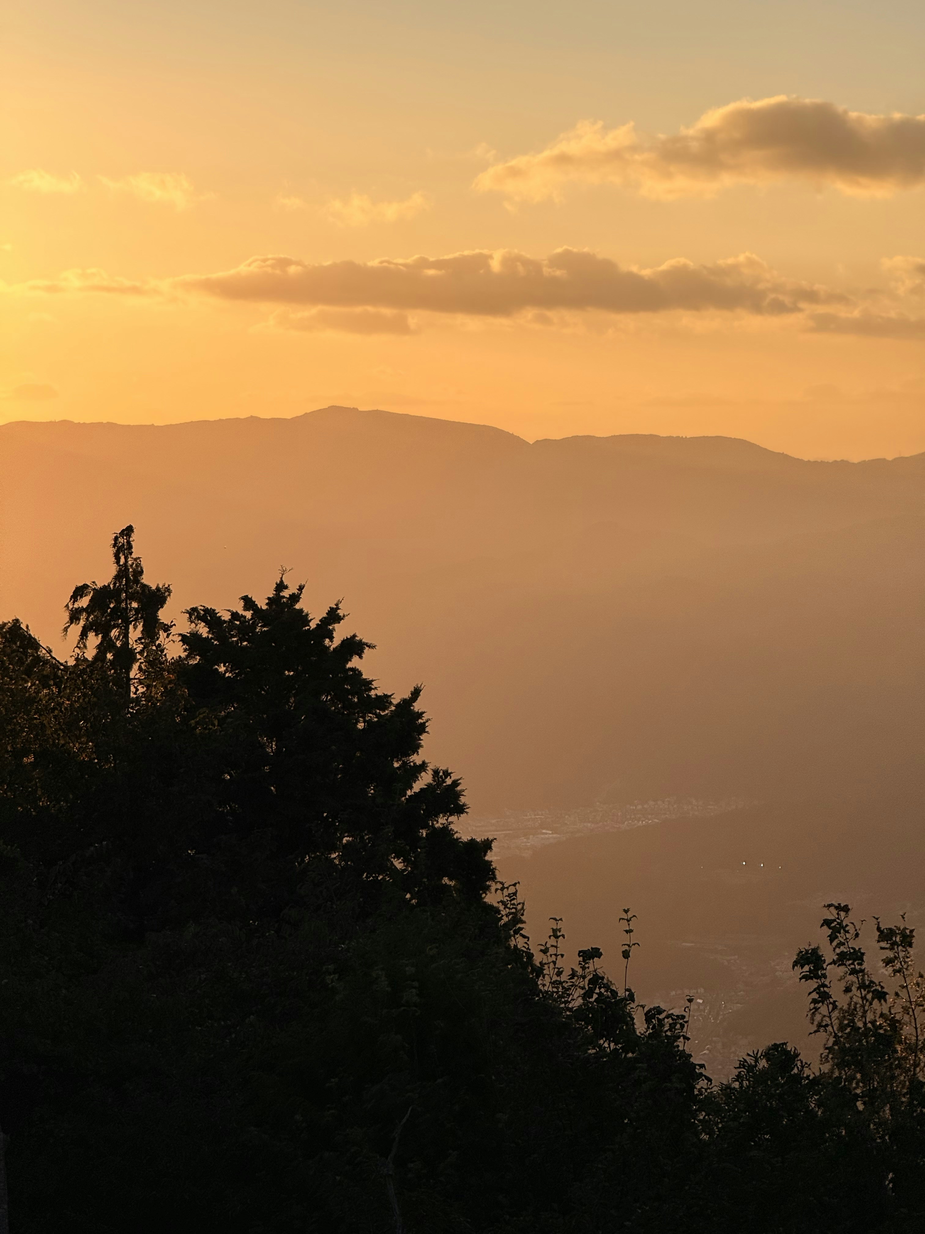 Photo by artemisss666