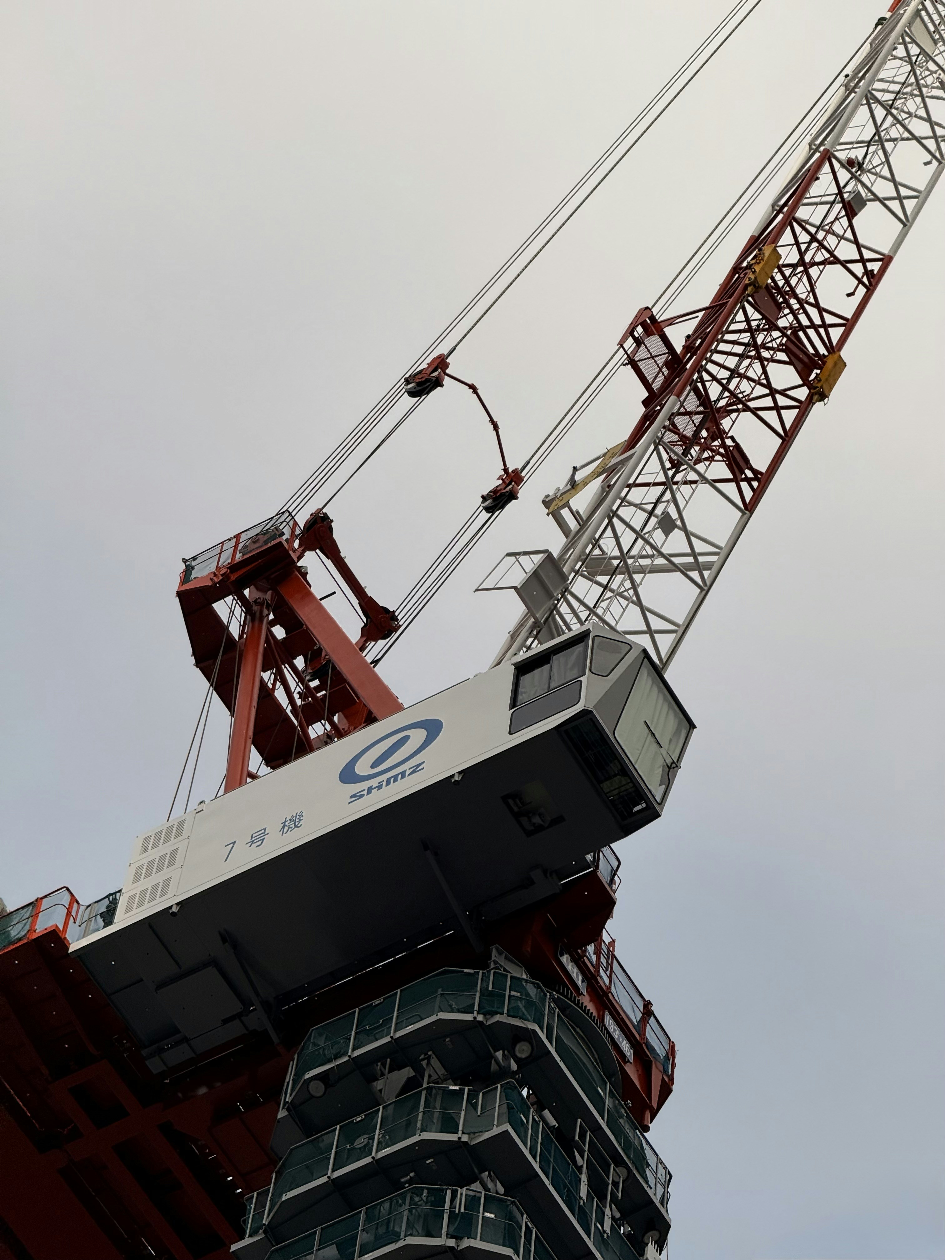 Photo by artemisss666