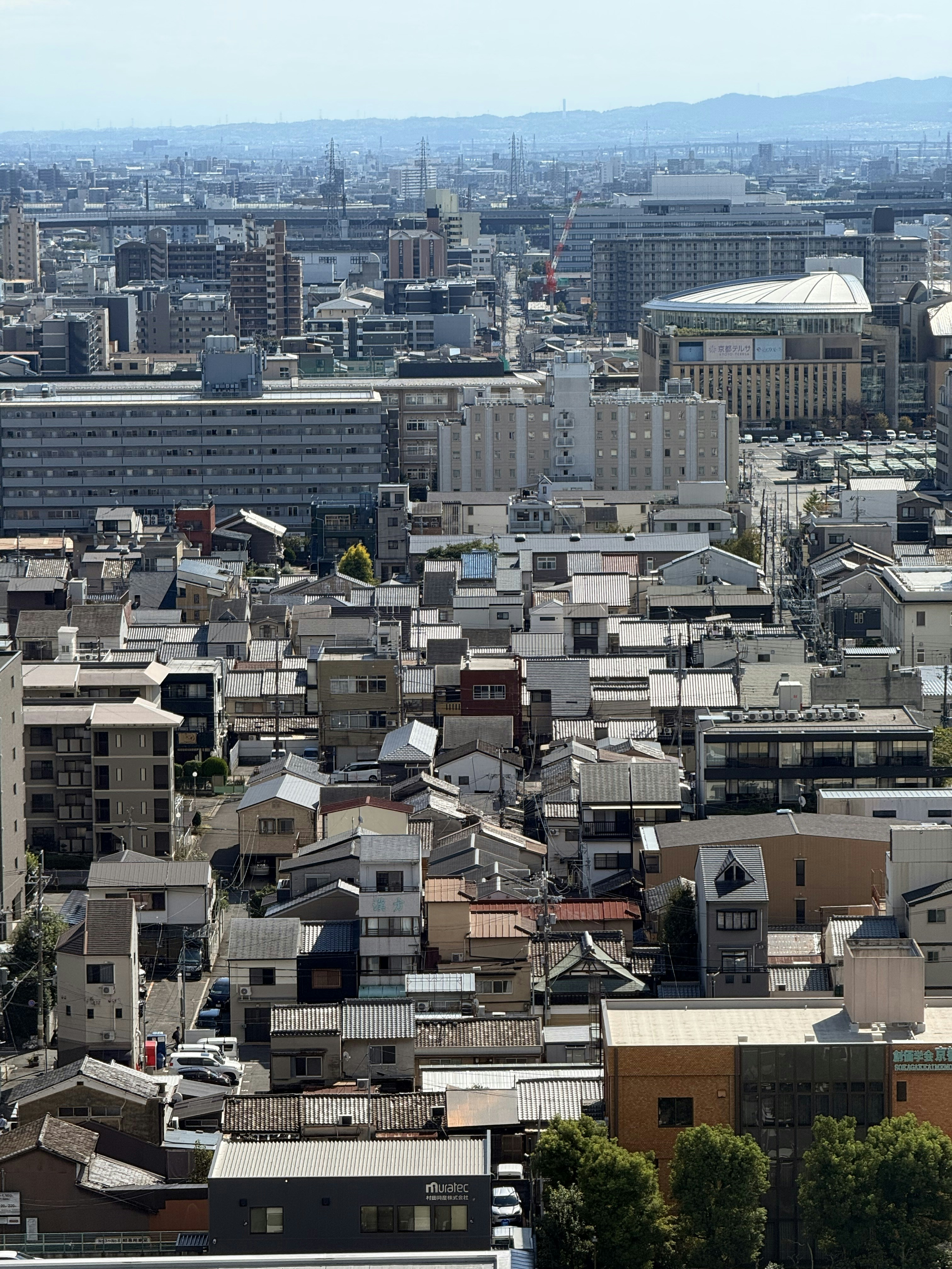 Photo by artemisss666