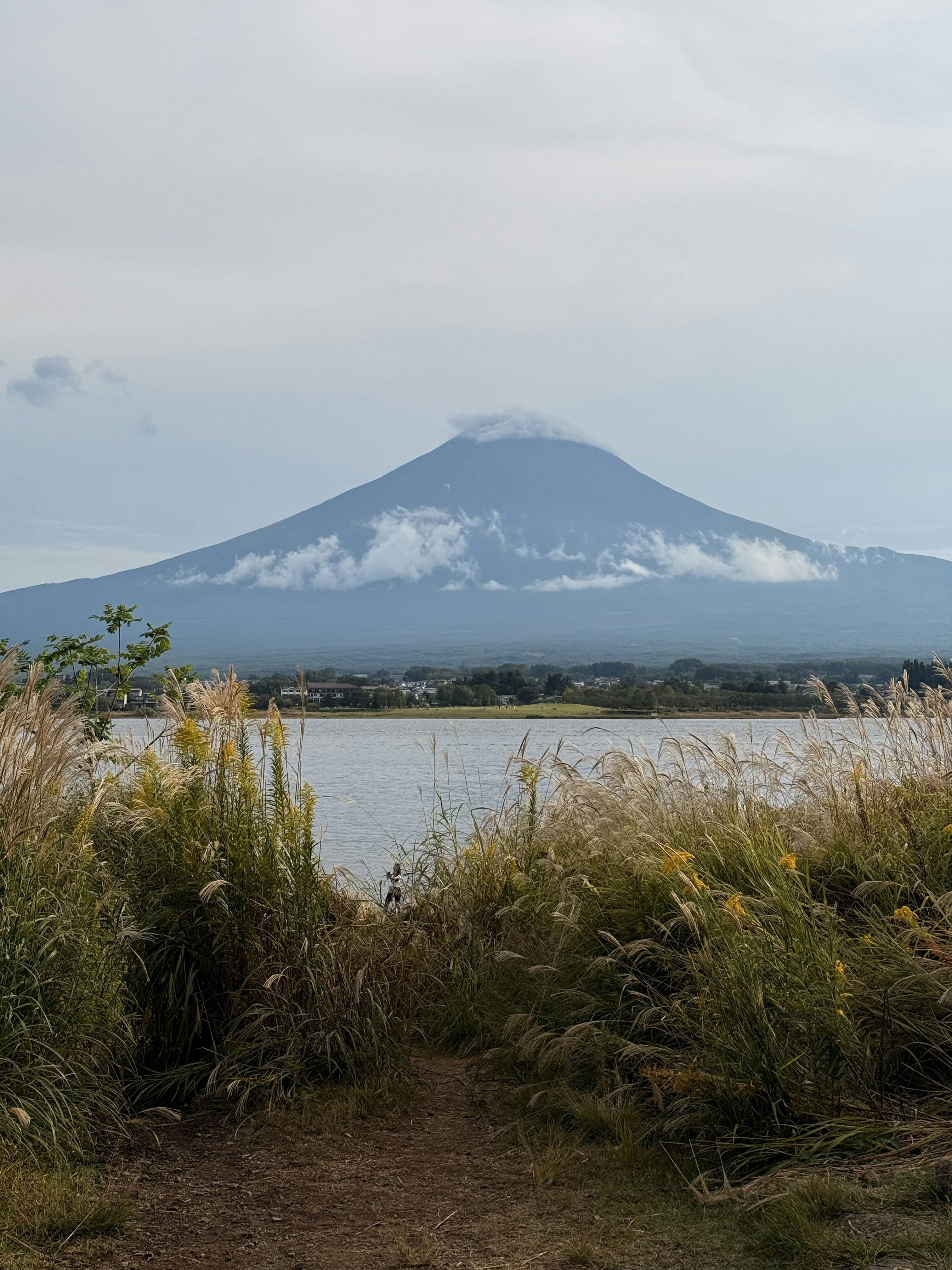 Photo by artemisss666