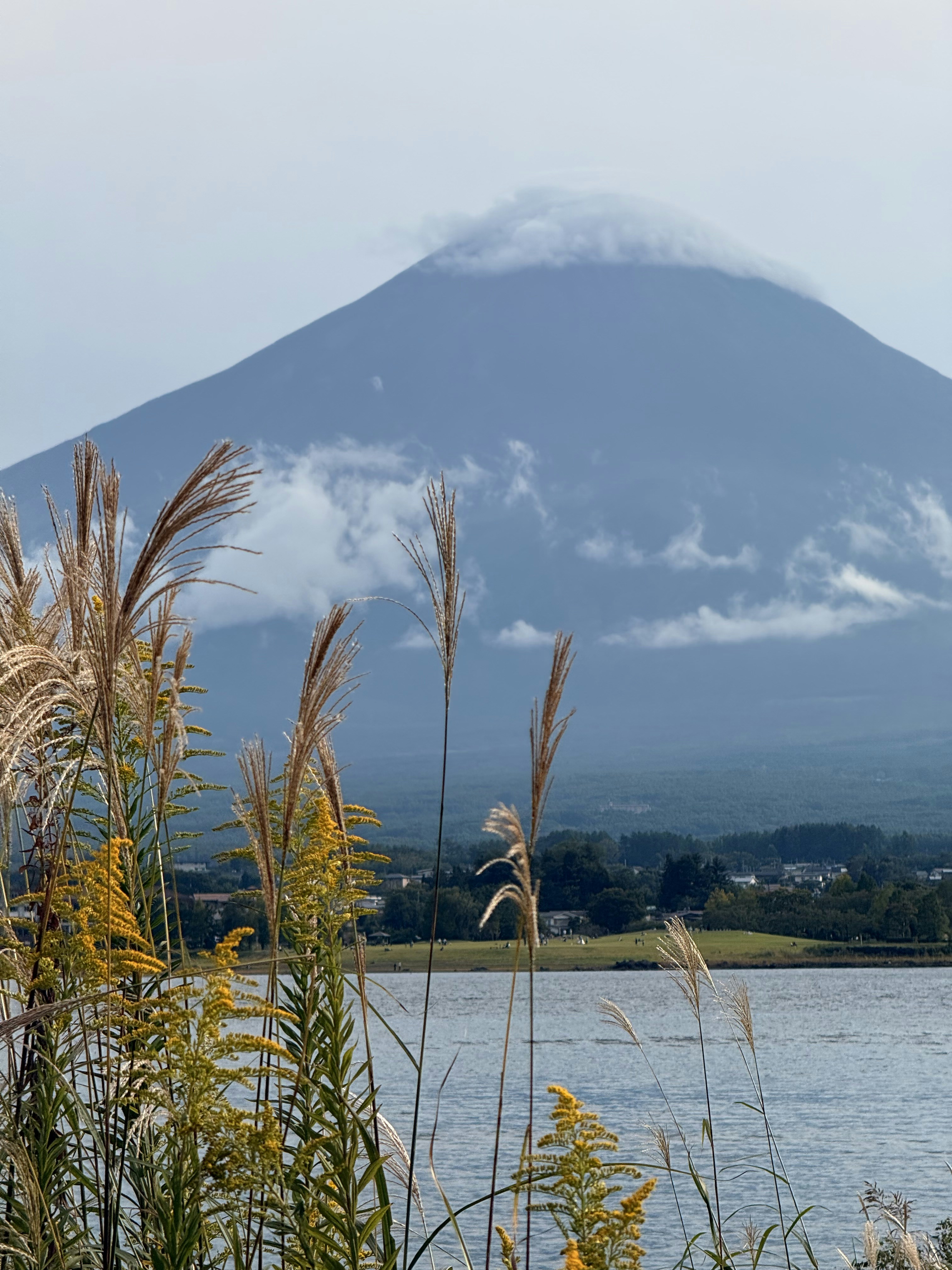 Photo by artemisss666