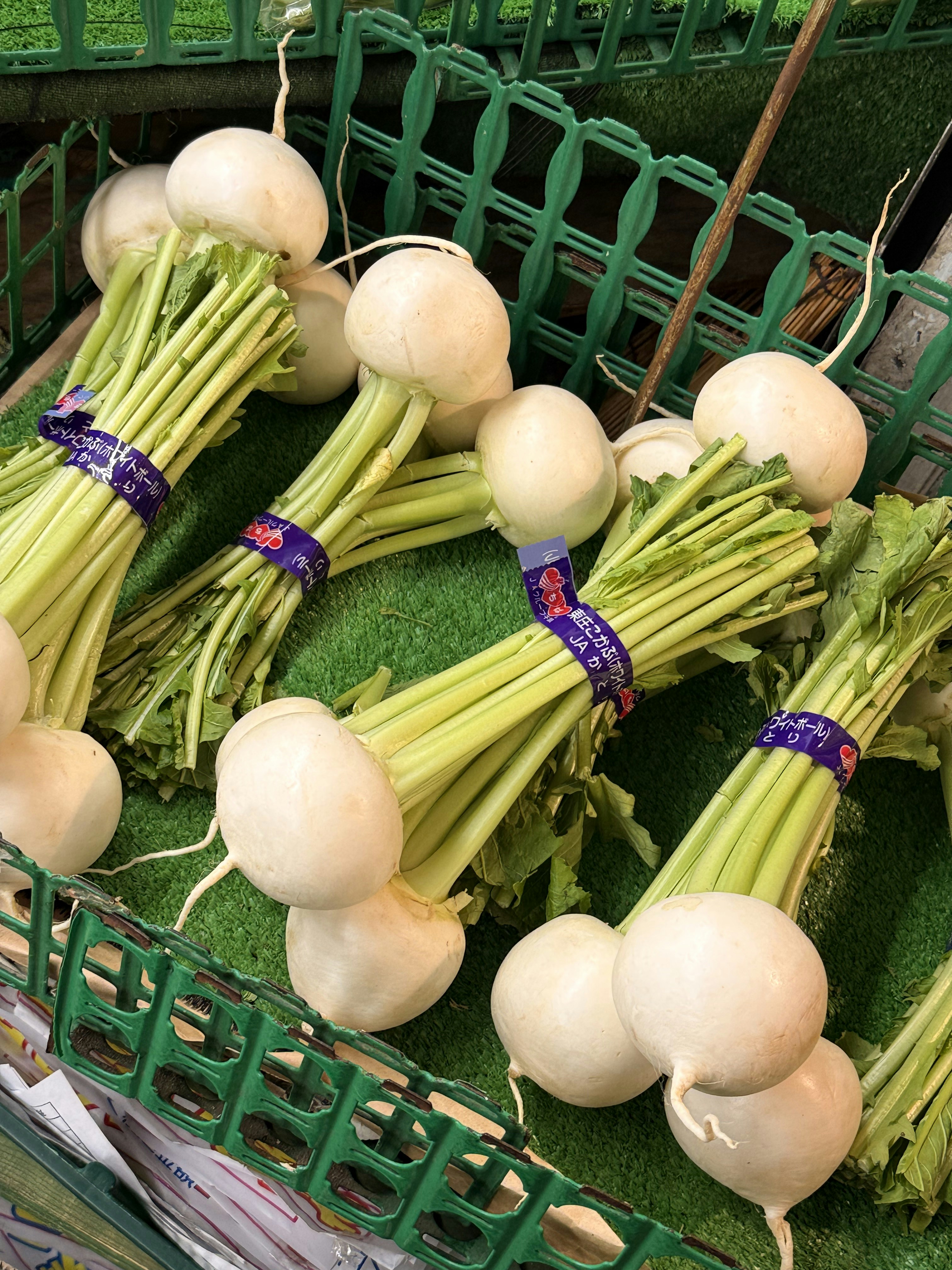 photo-1766243929836-588107a369bb?ixid=M3wxMjA3fDB8MXxzZWFyY2h8MjB8fCVEMCVCQSVEMSU4MCVEMCVCMCVEMCVCQSVEMCVCNSVEMCVCRCUyMG9uaW9ufGVufDB8fHx8MTc2ODk1NTgxNHww\u0026ixlib=rb-4.1.0