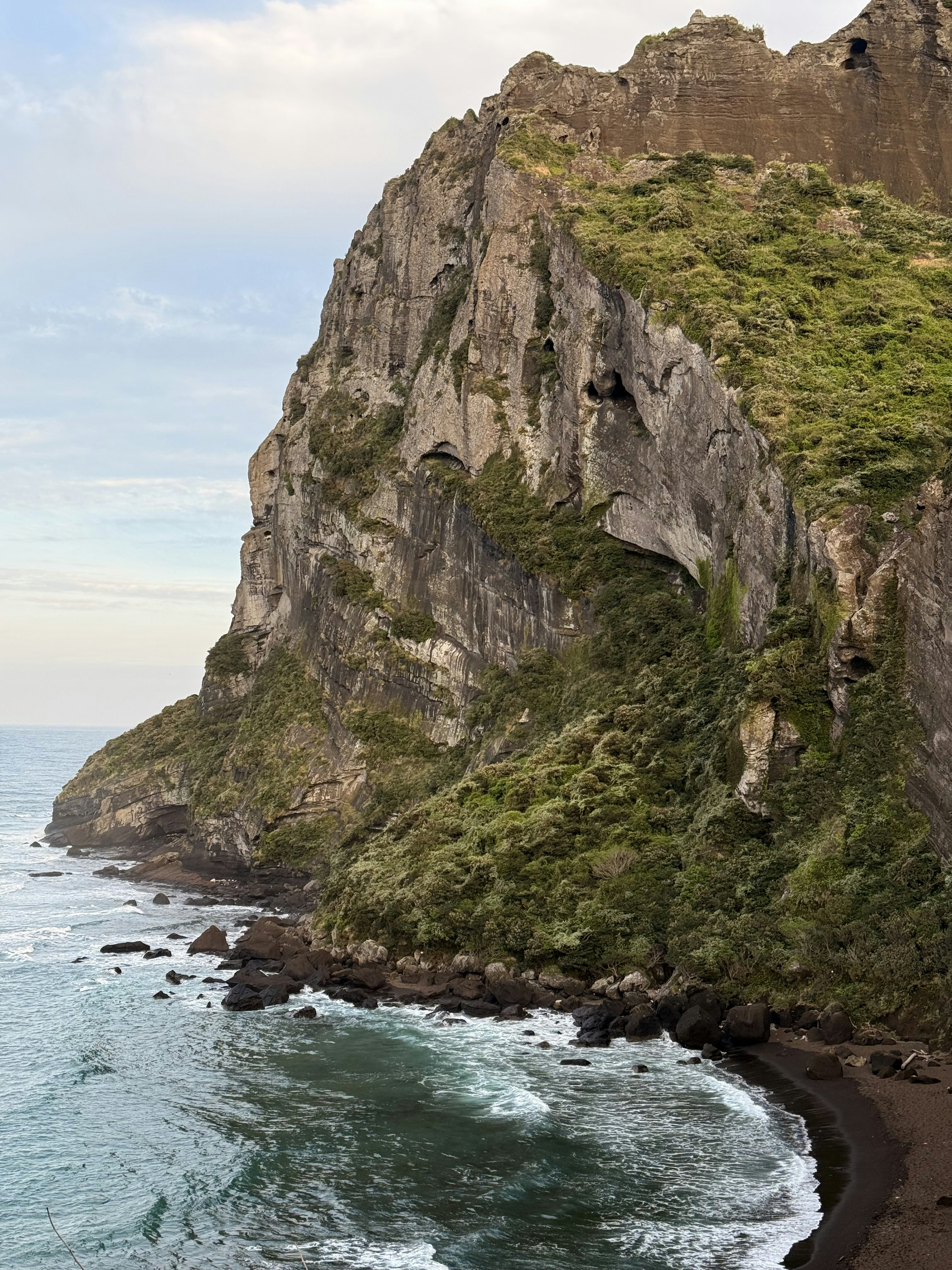 Photo by artemisss666