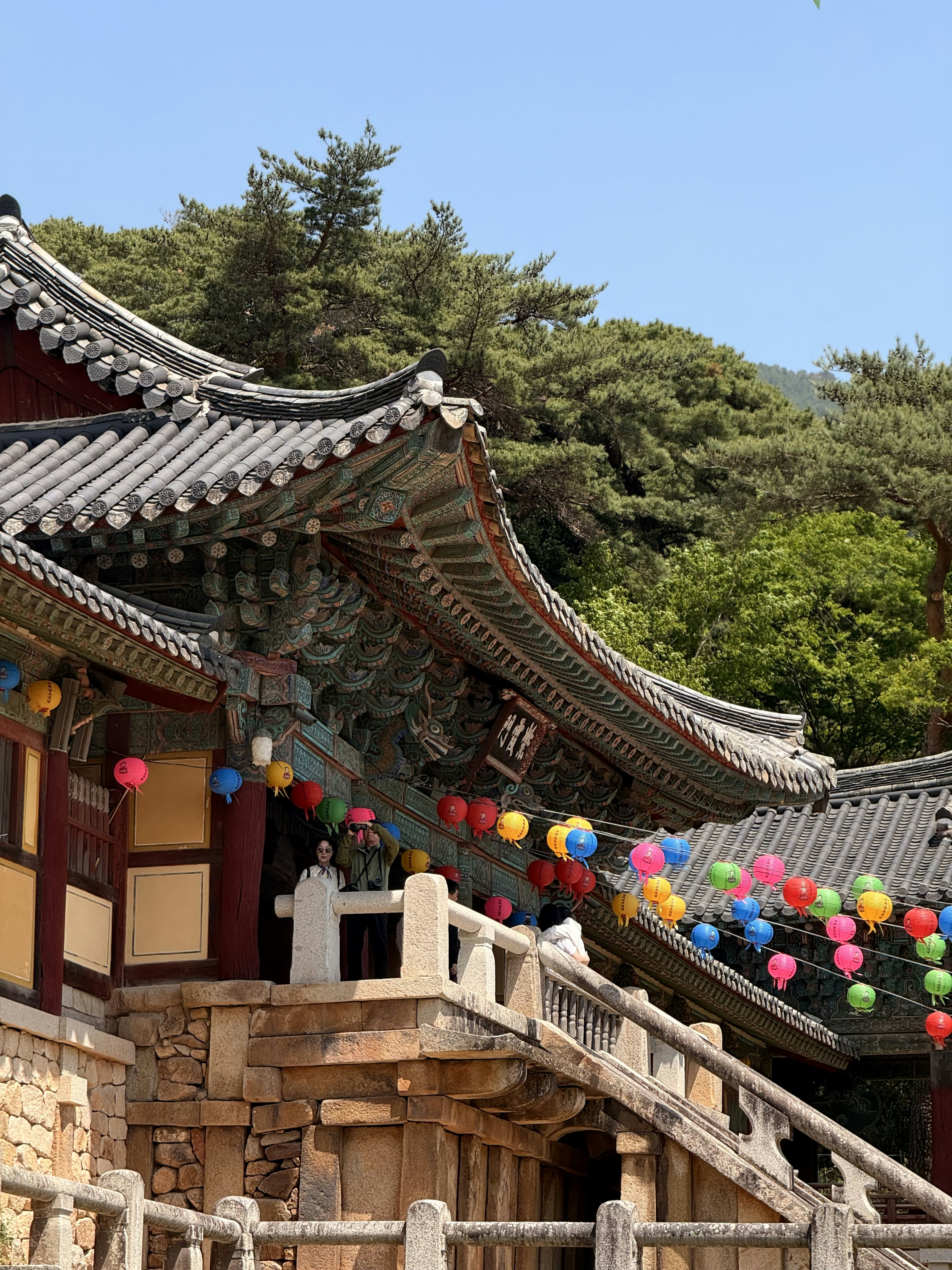 Photo by artemisss666