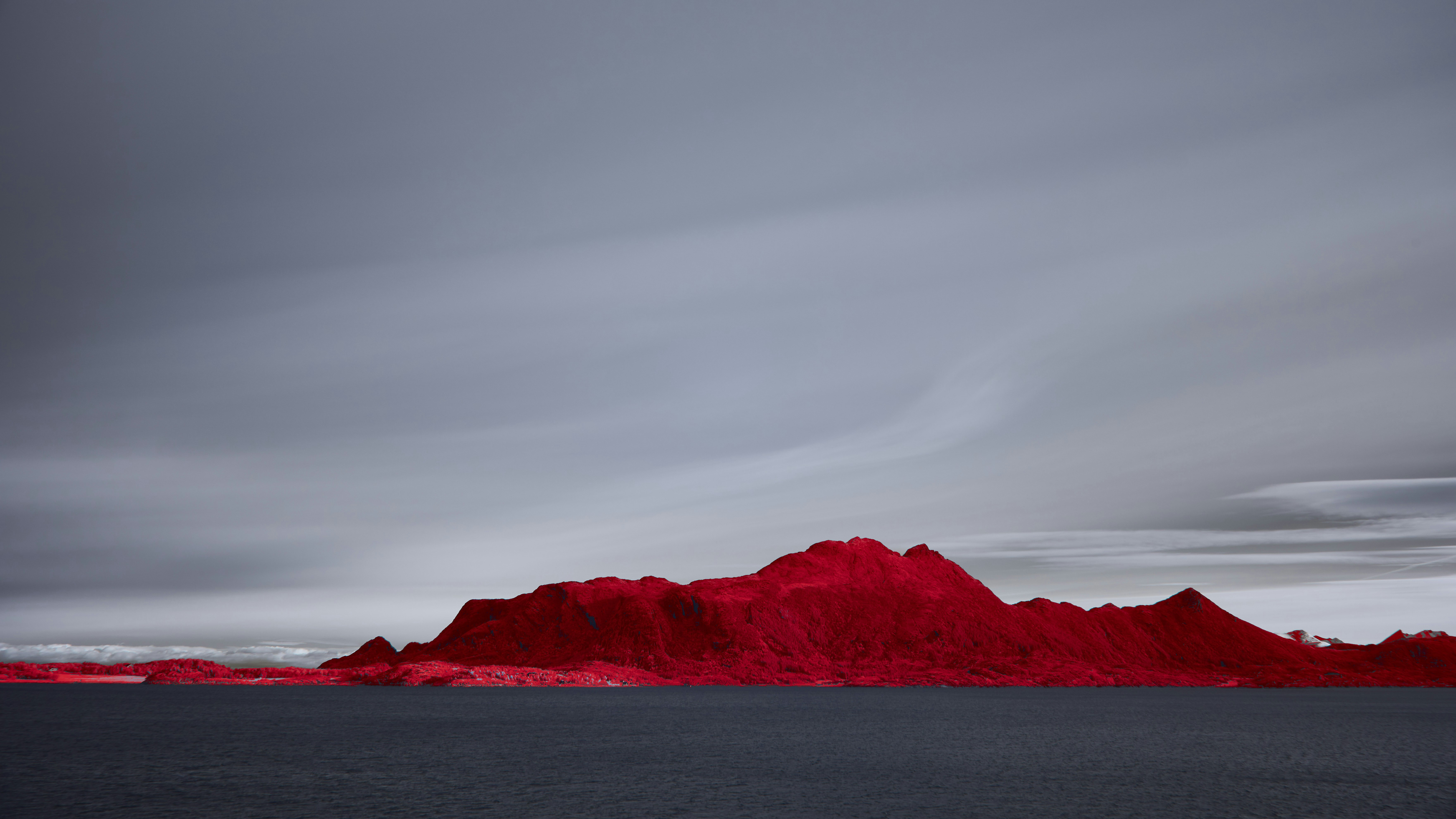 Photo by wolfgang_hasselmann