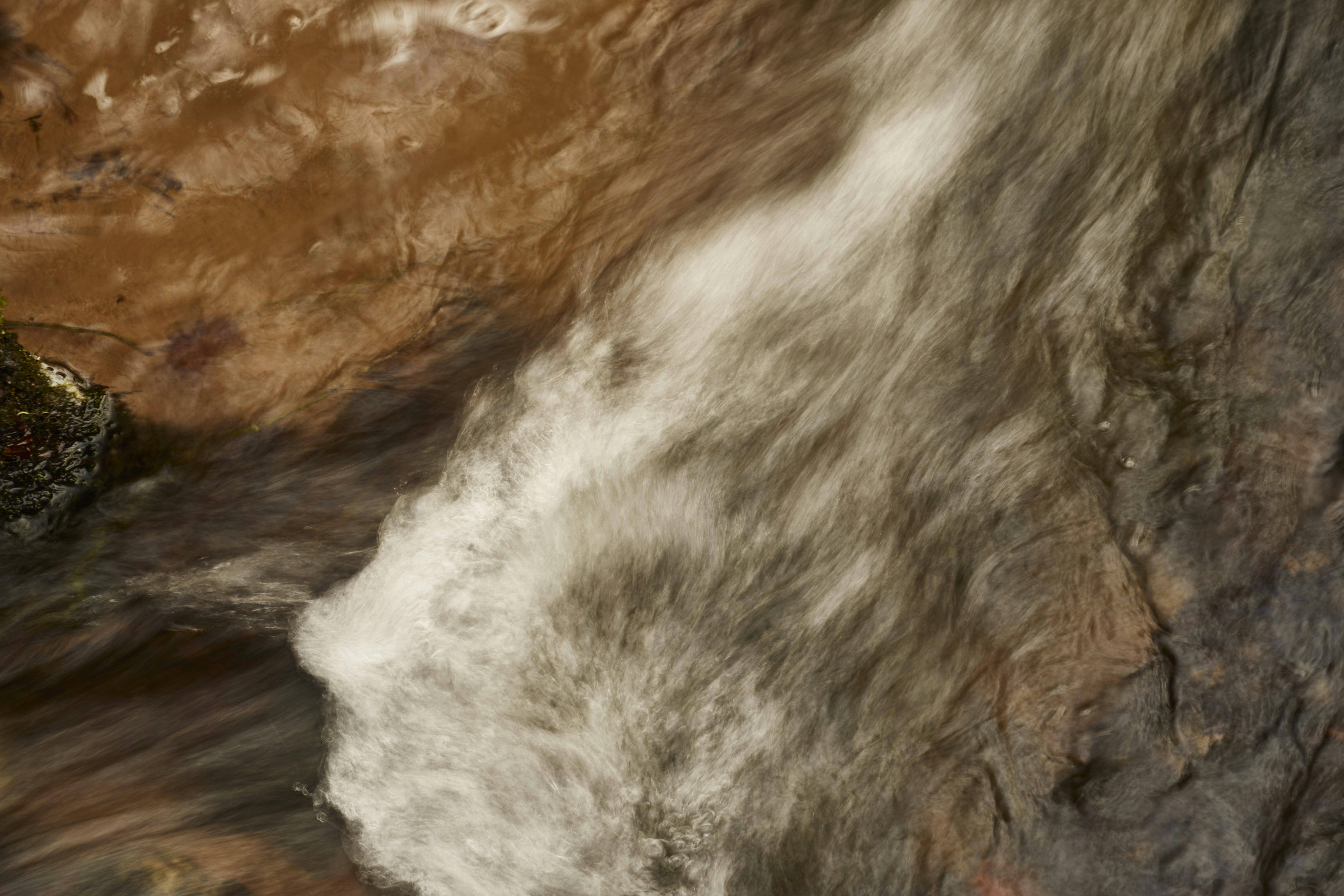 Photo by wolfgang_hasselmann