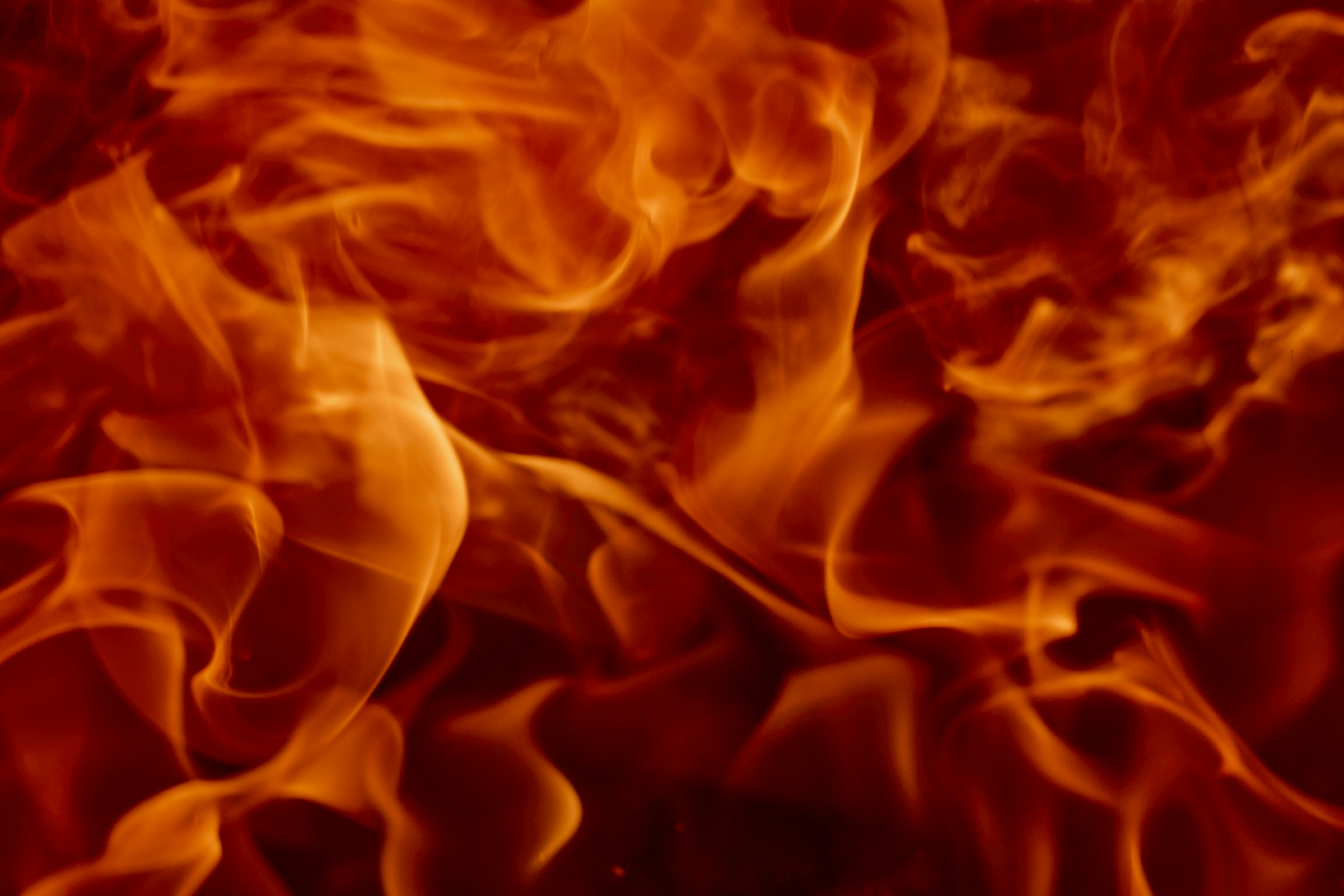 Photo by wolfgang_hasselmann