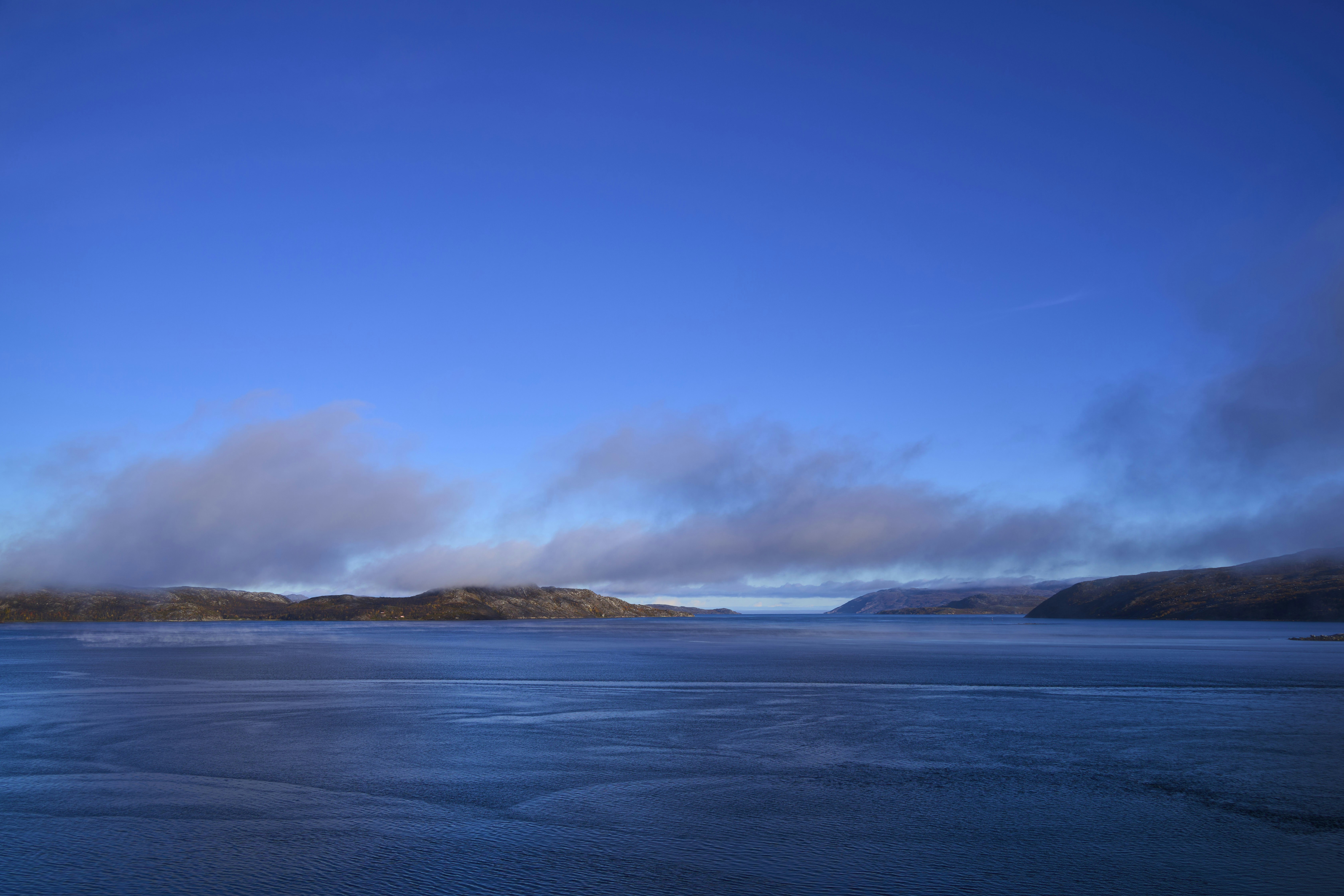 Photo by wolfgang_hasselmann