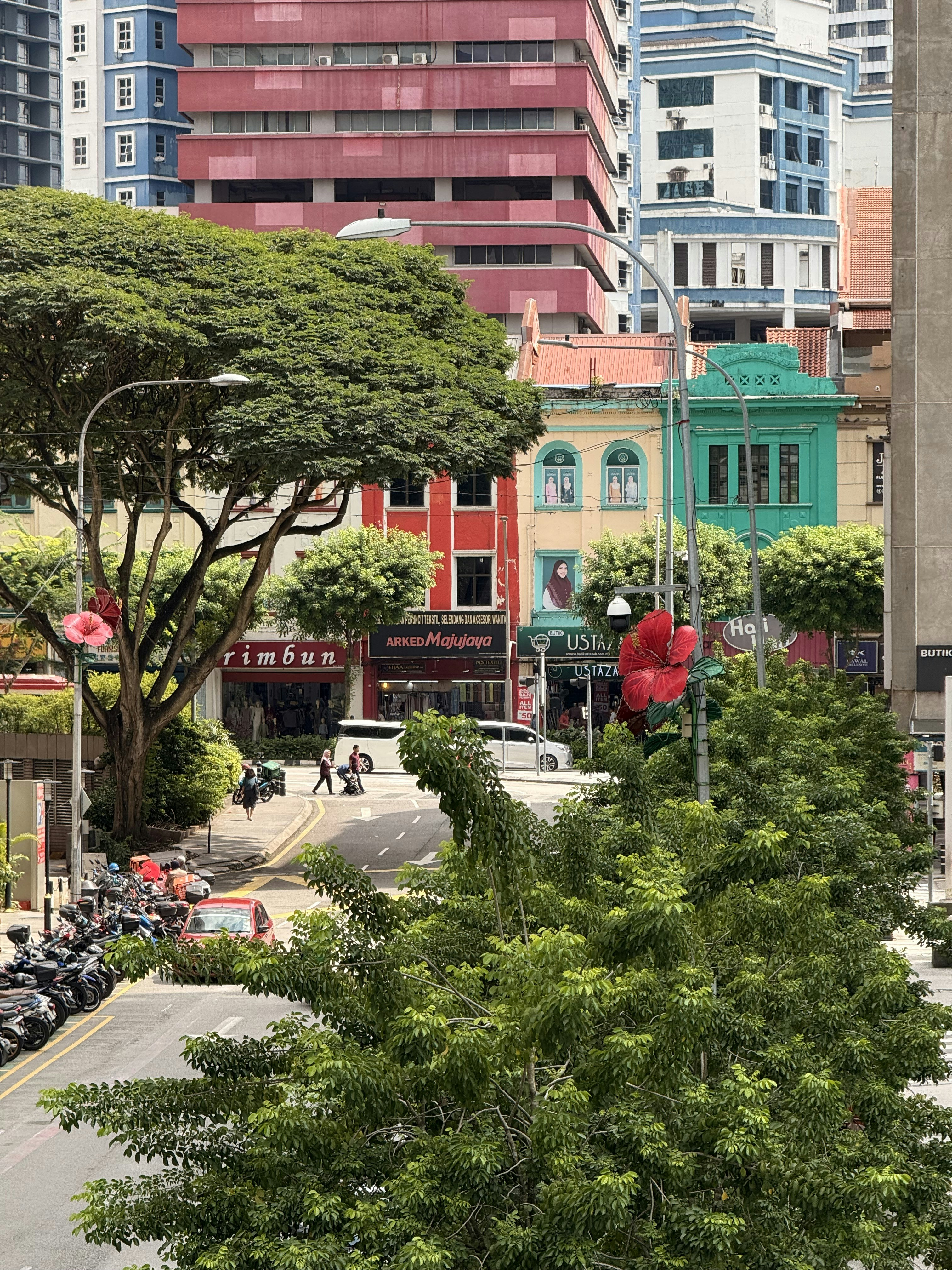 Photo by artemisss666