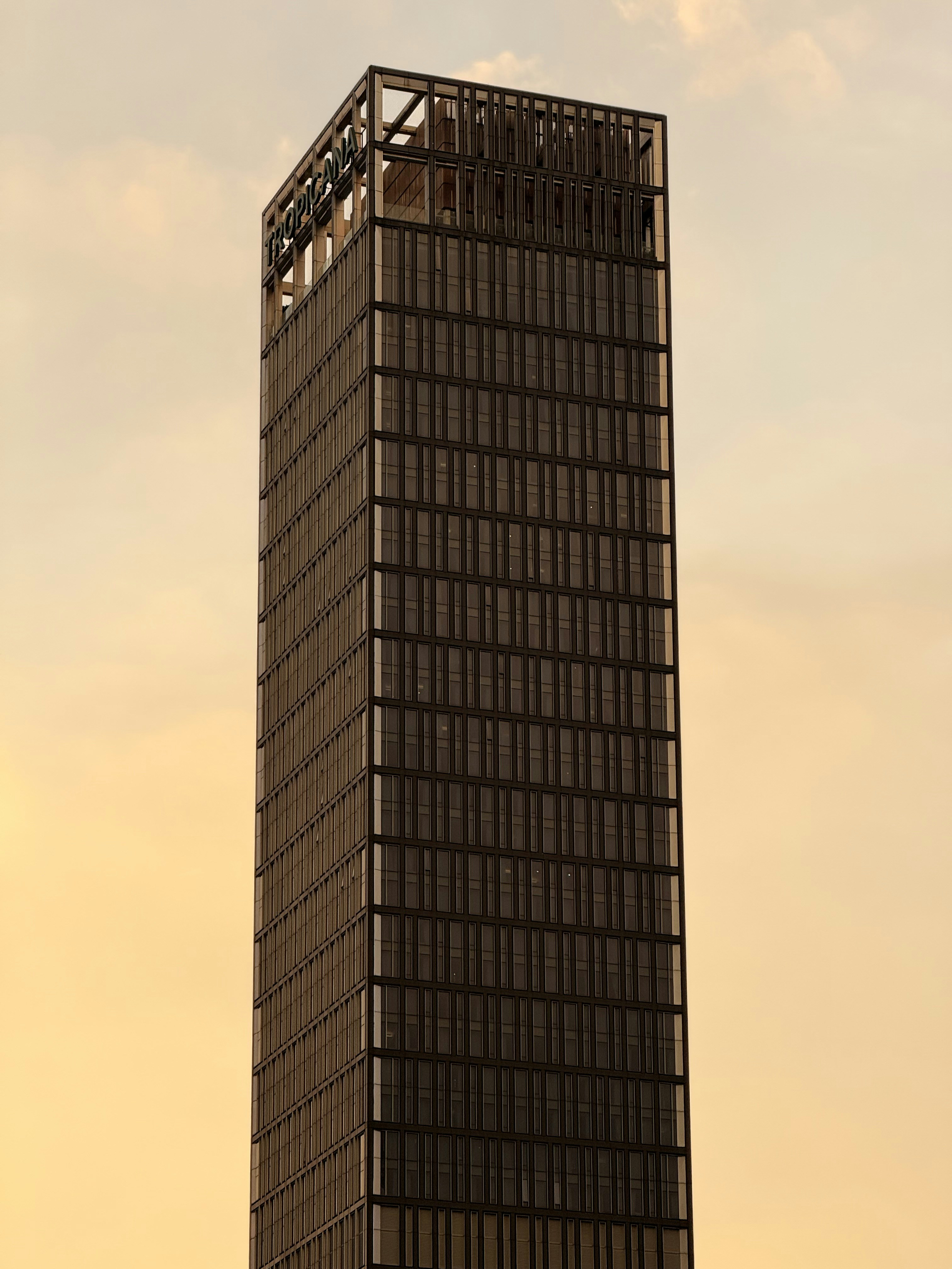 Photo by artemisss666