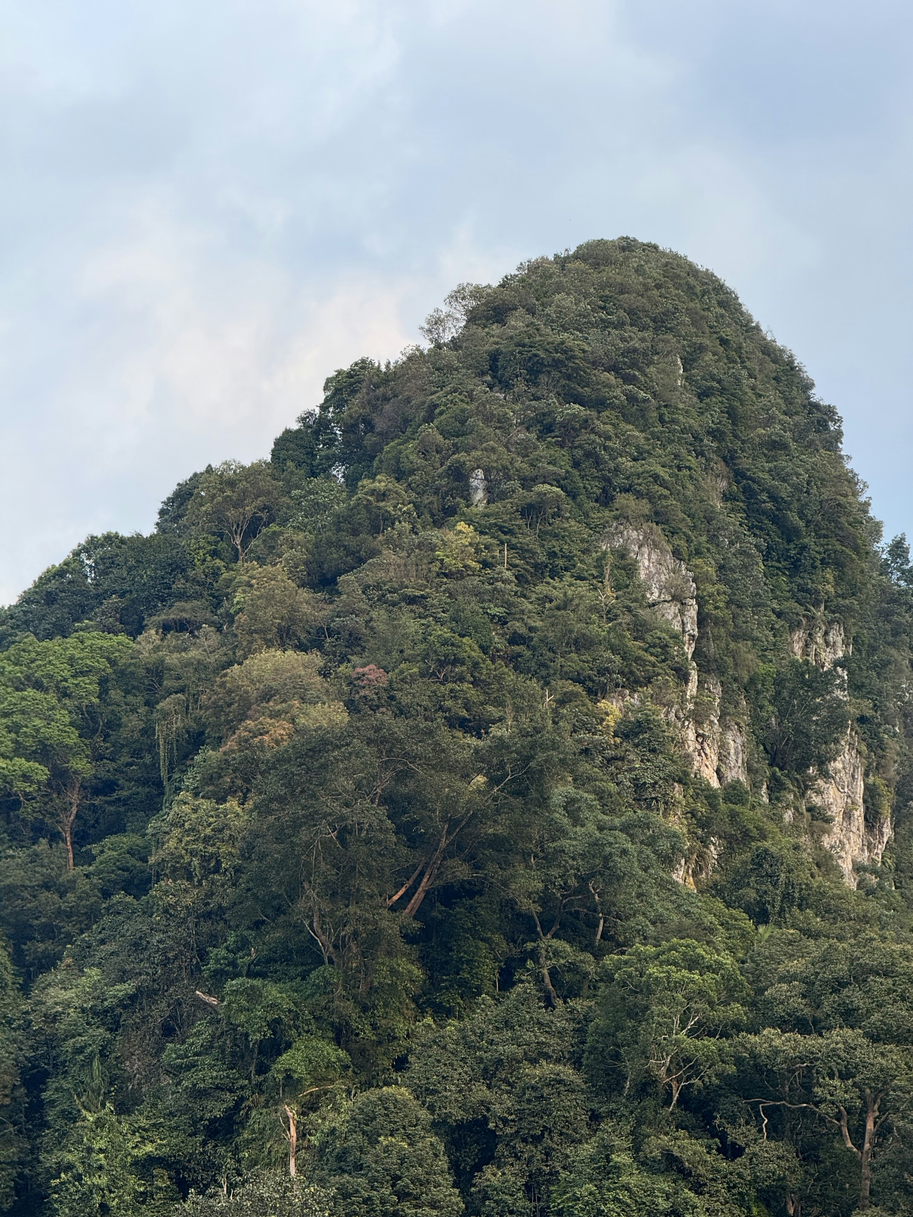 Photo by artemisss666