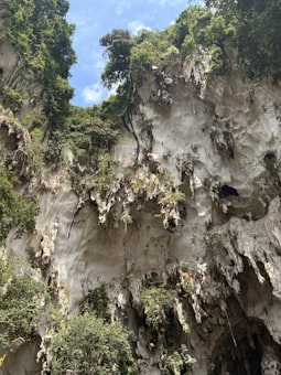 Bat Cave (Gua Kelawar)
