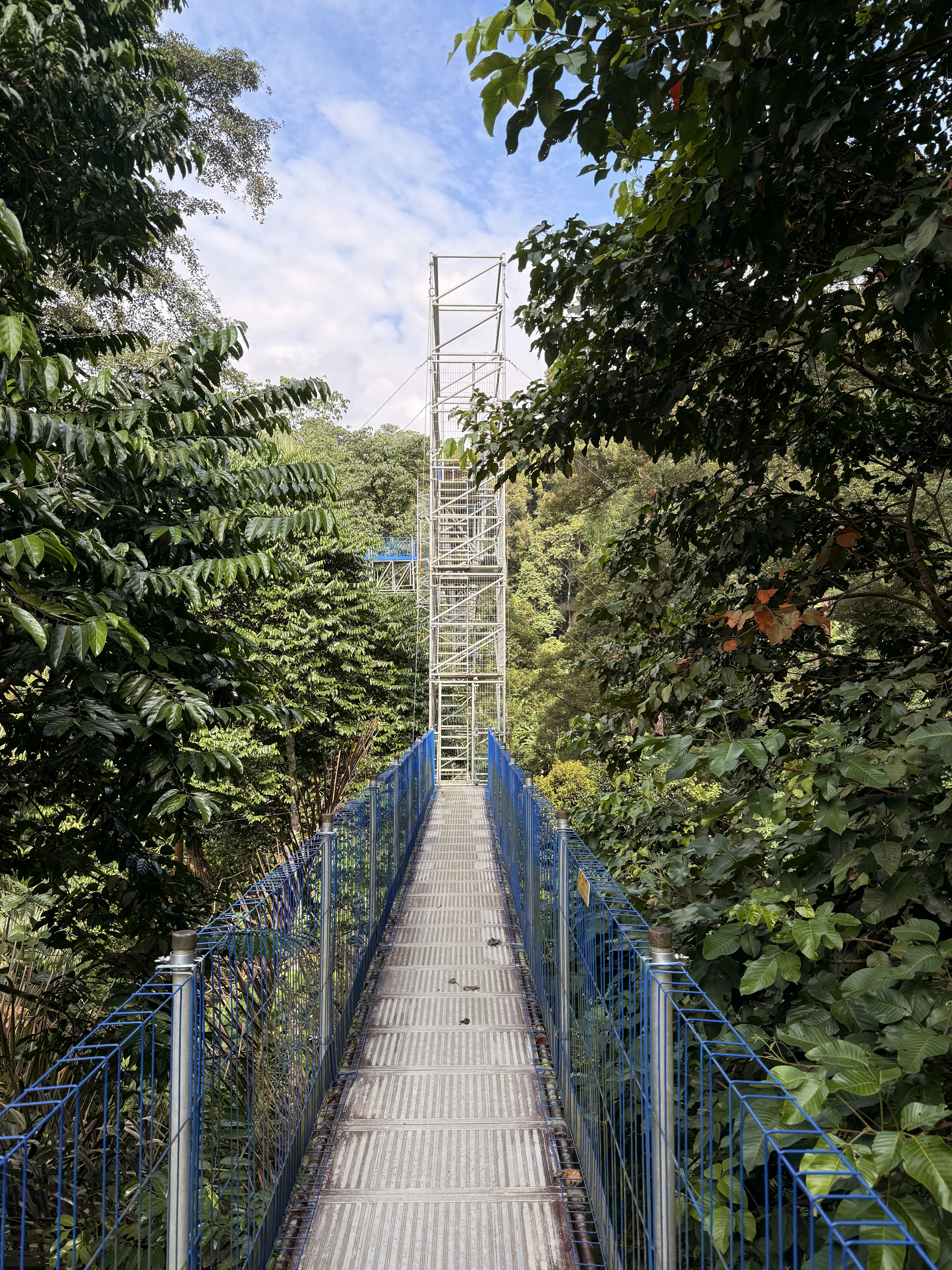 Photo by artemisss666