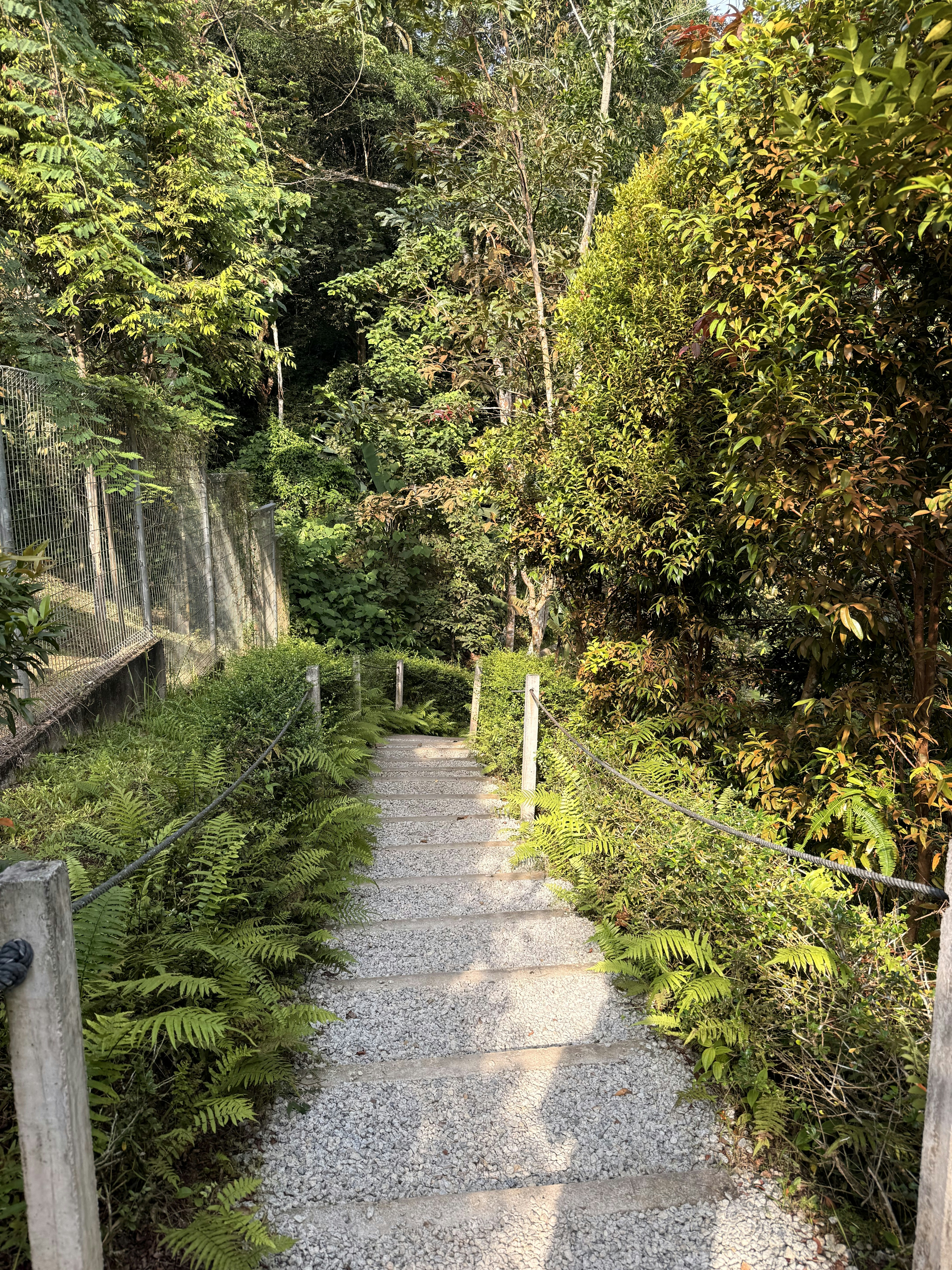 Photo by artemisss666