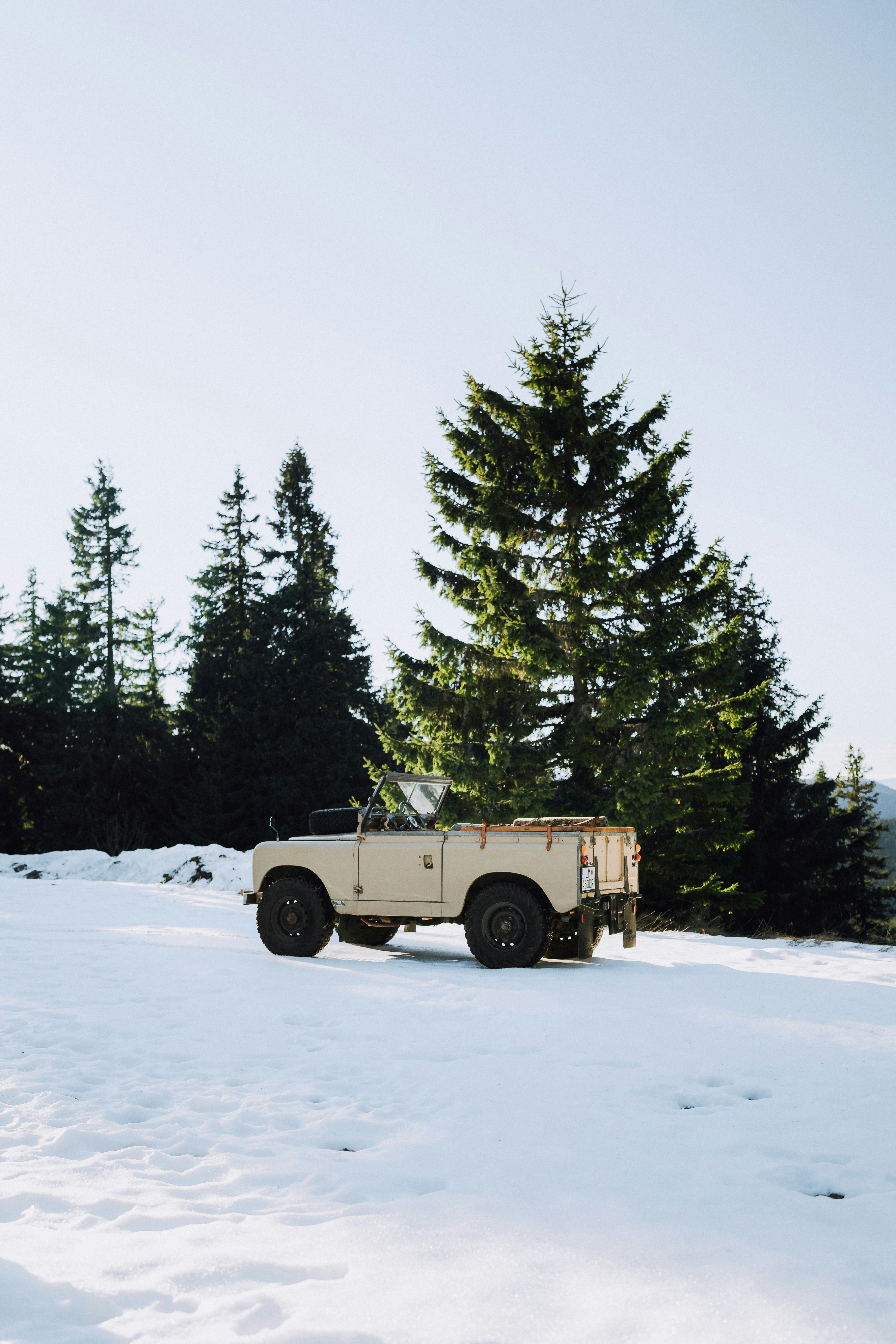 Vintage jeep parked in a snowy forest landscape with trees