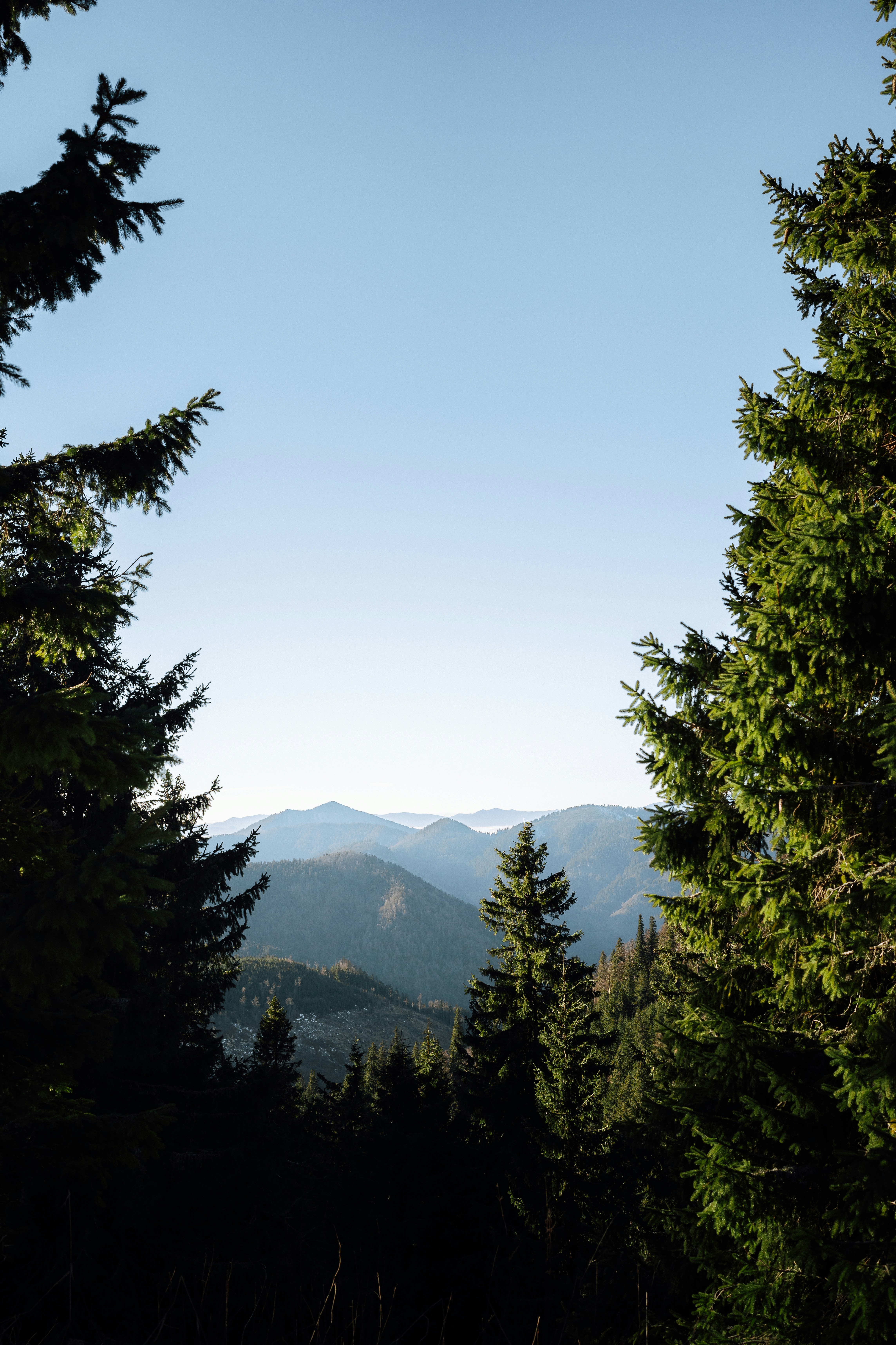 Framed view of rolling mountains and evergreen trees.