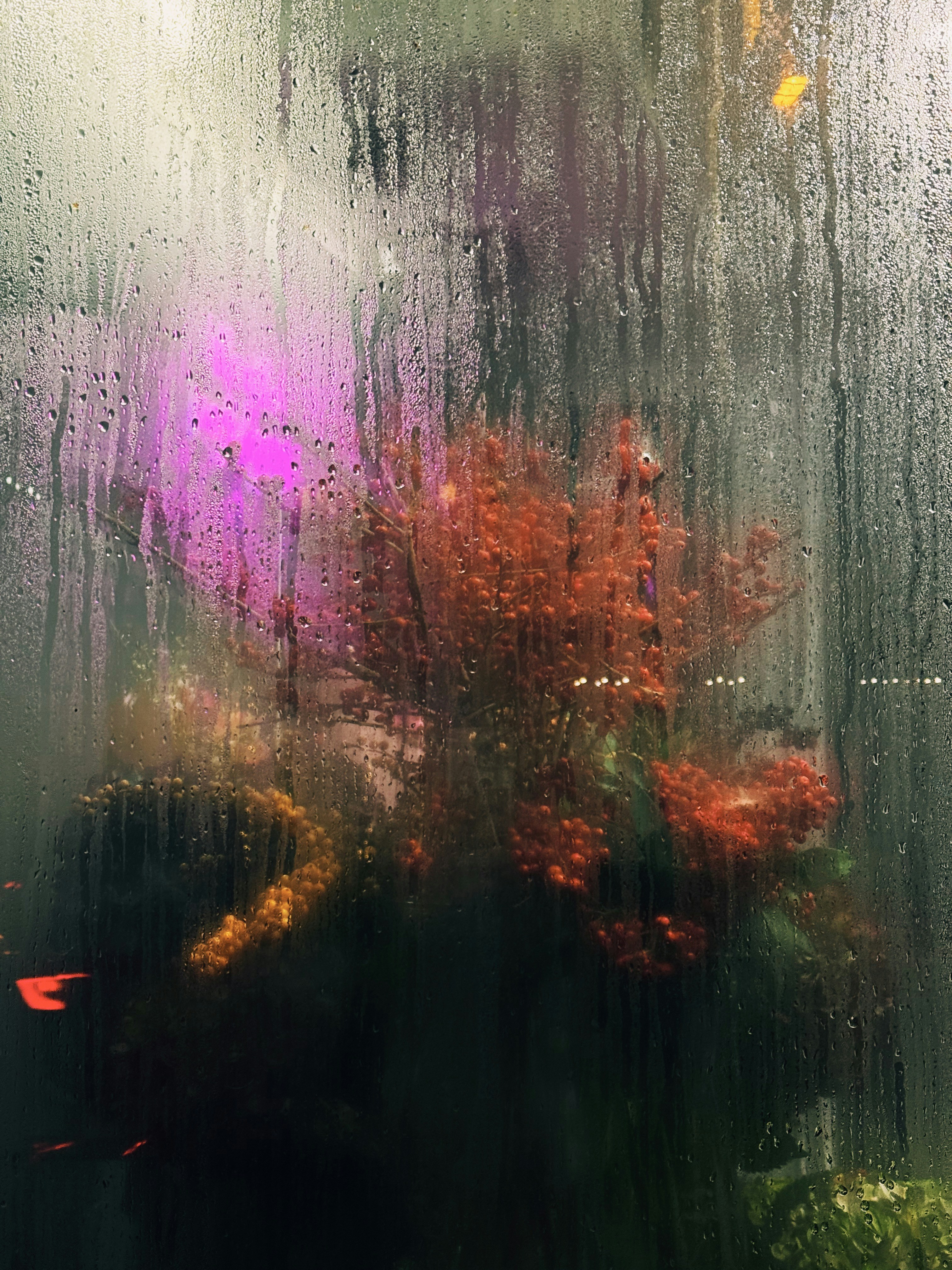 Blurred flowers seen through a steamy window.