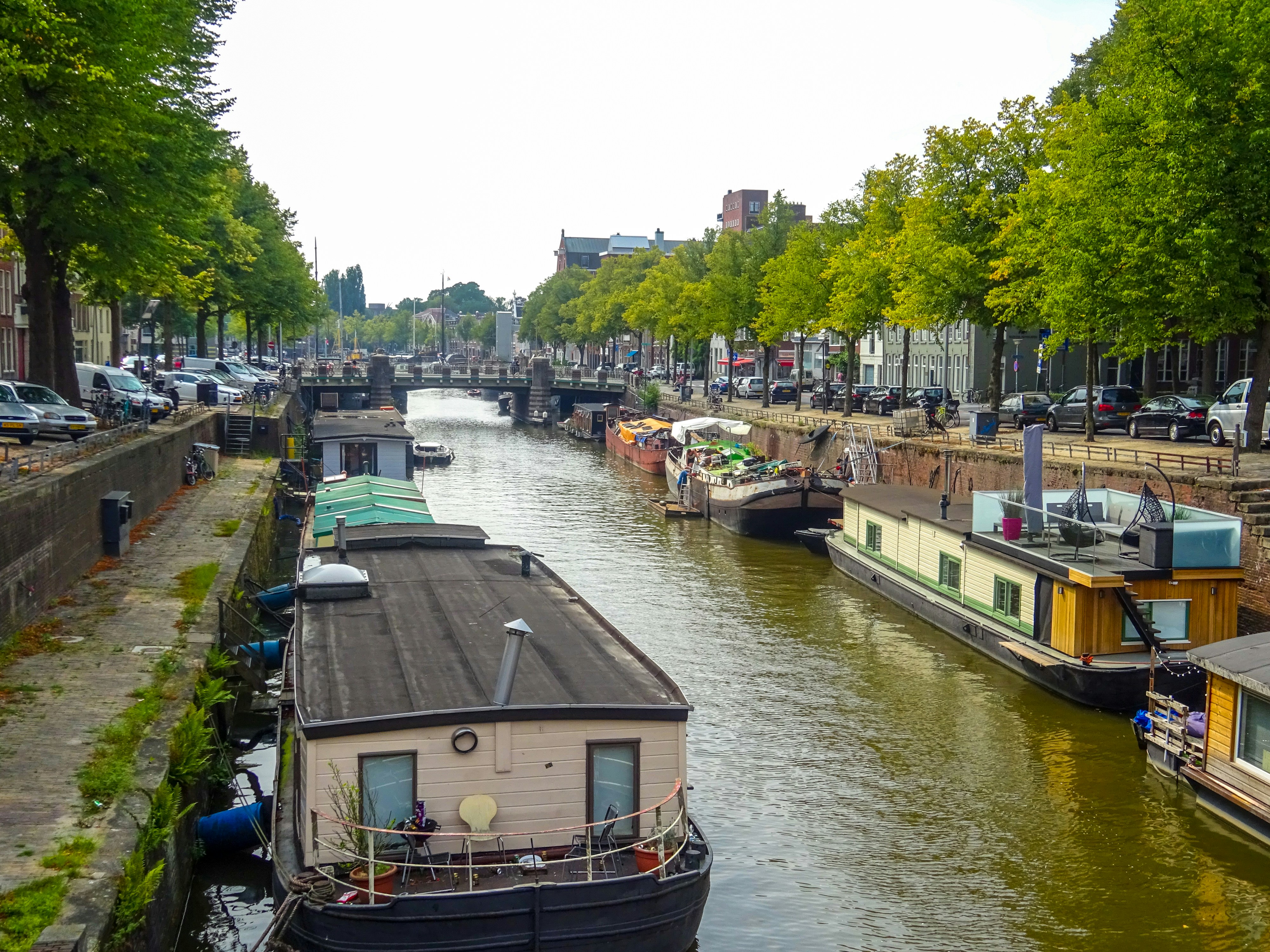 Photo by nikolaikolosov