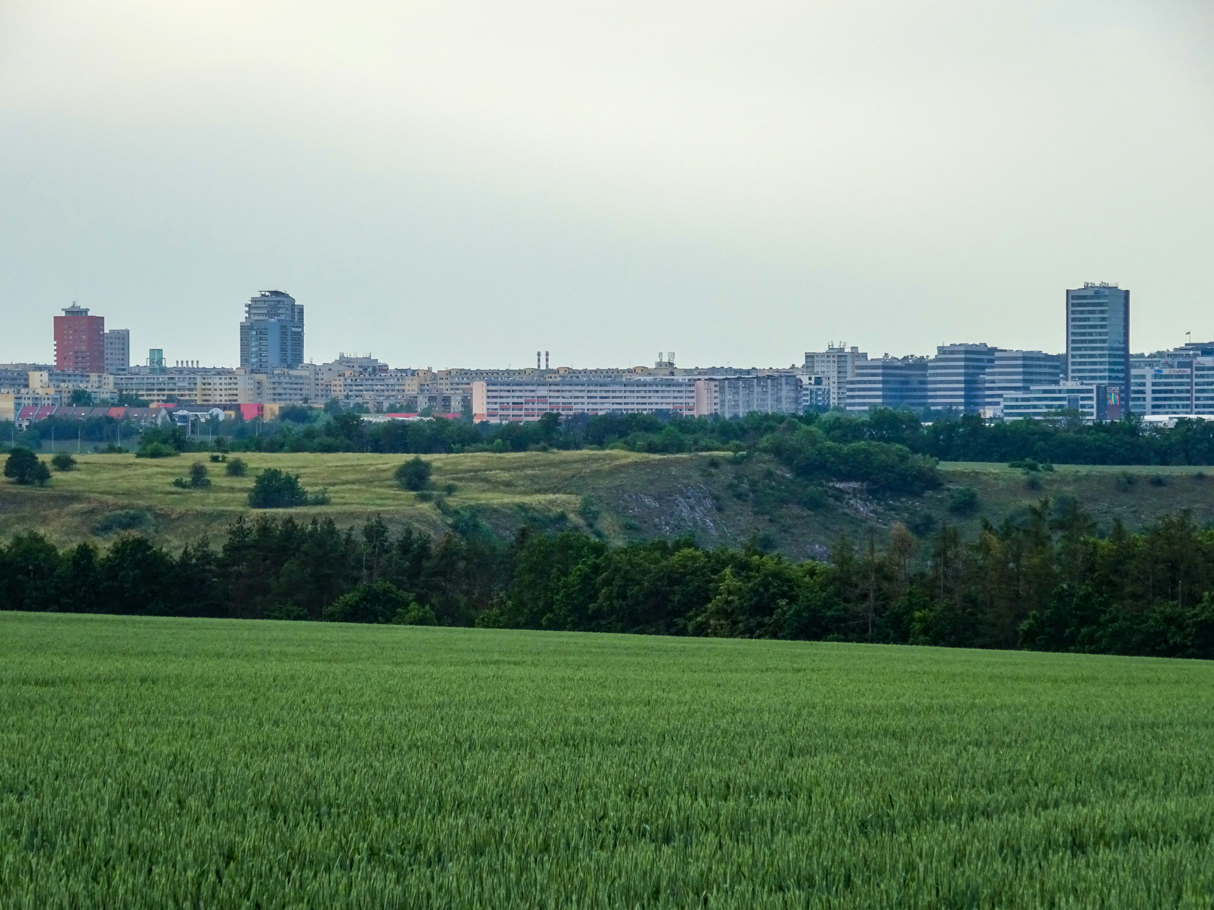 Photo by nikolaikolosov