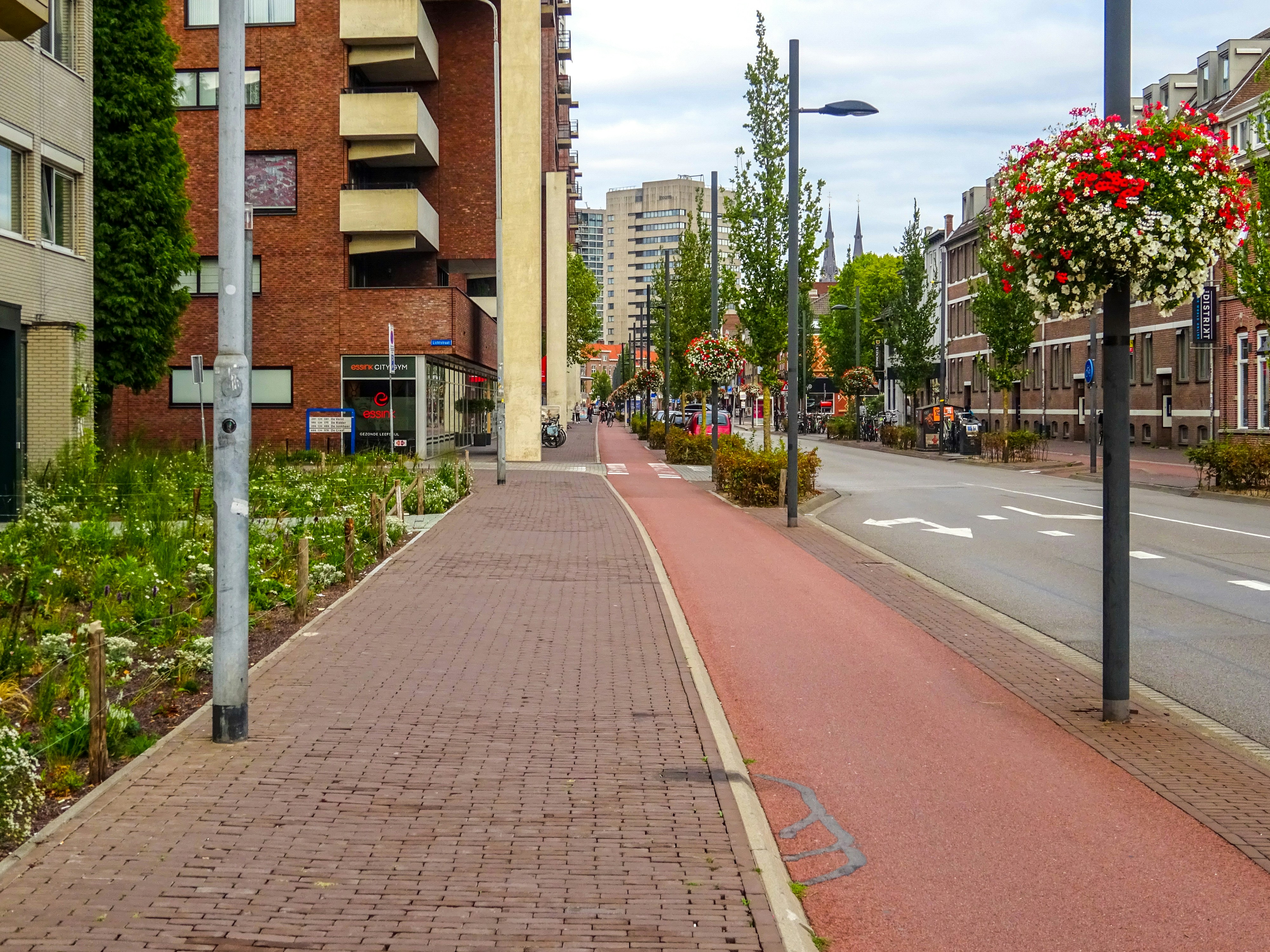 A paved walkway beside a red bike lane and street.