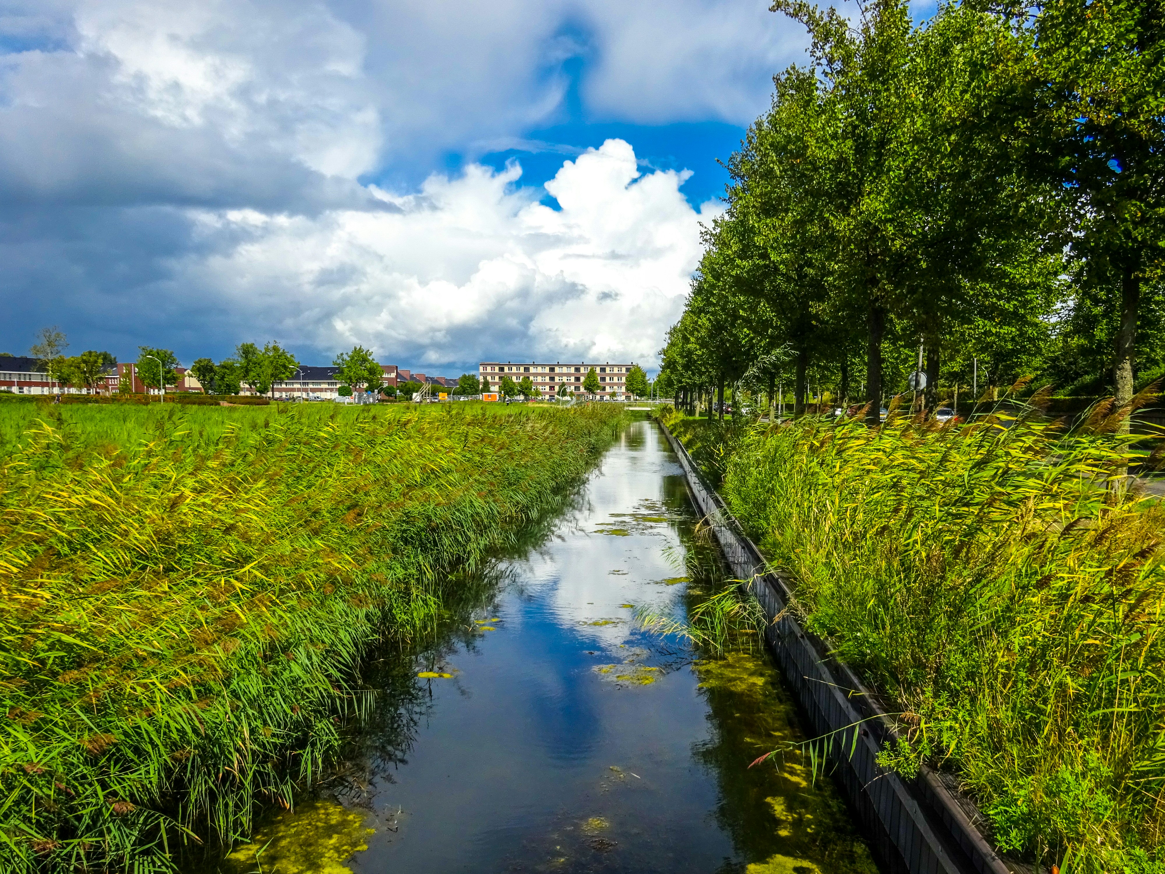 Photo by nikolaikolosov