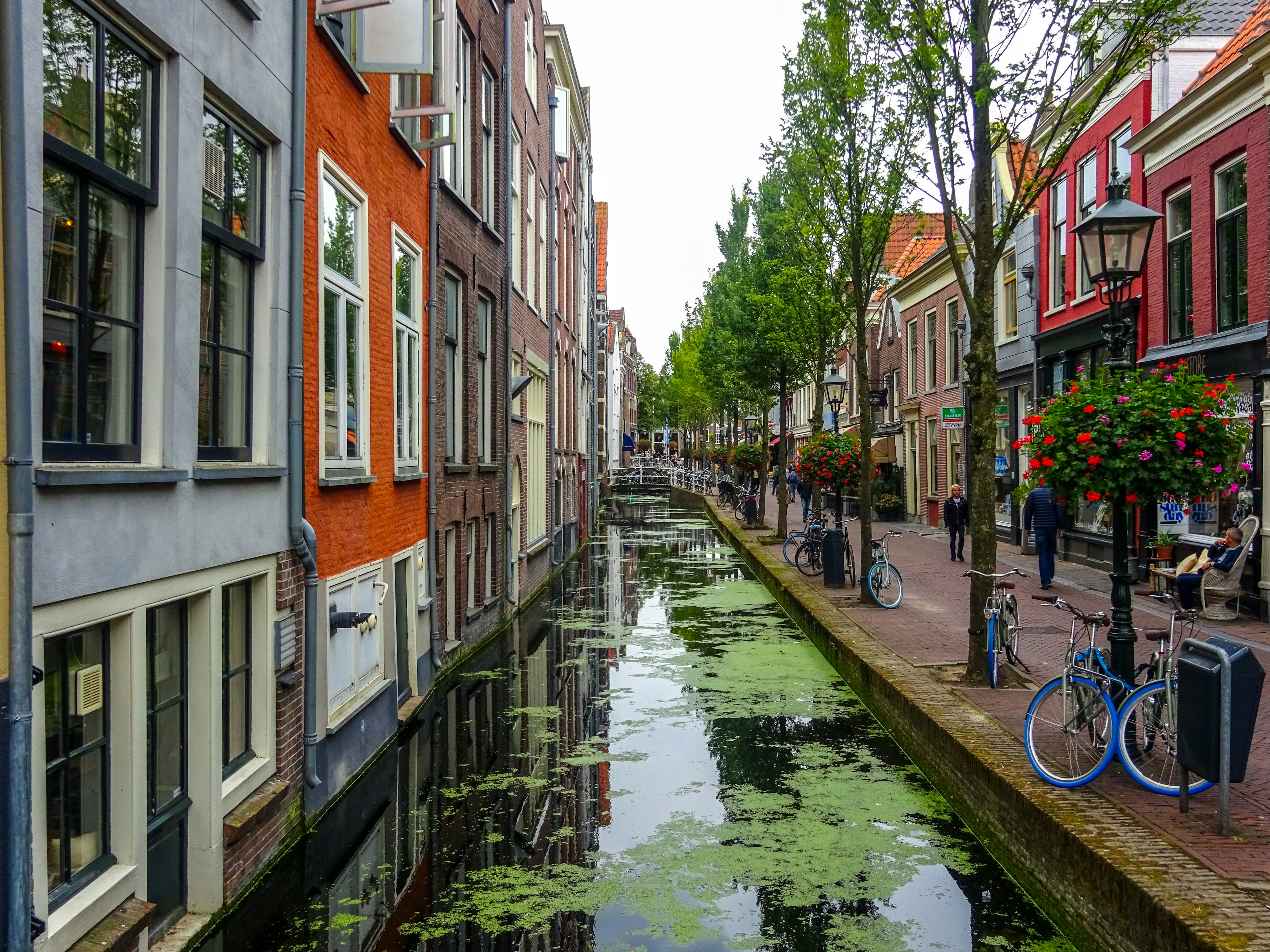 Photo by nikolaikolosov