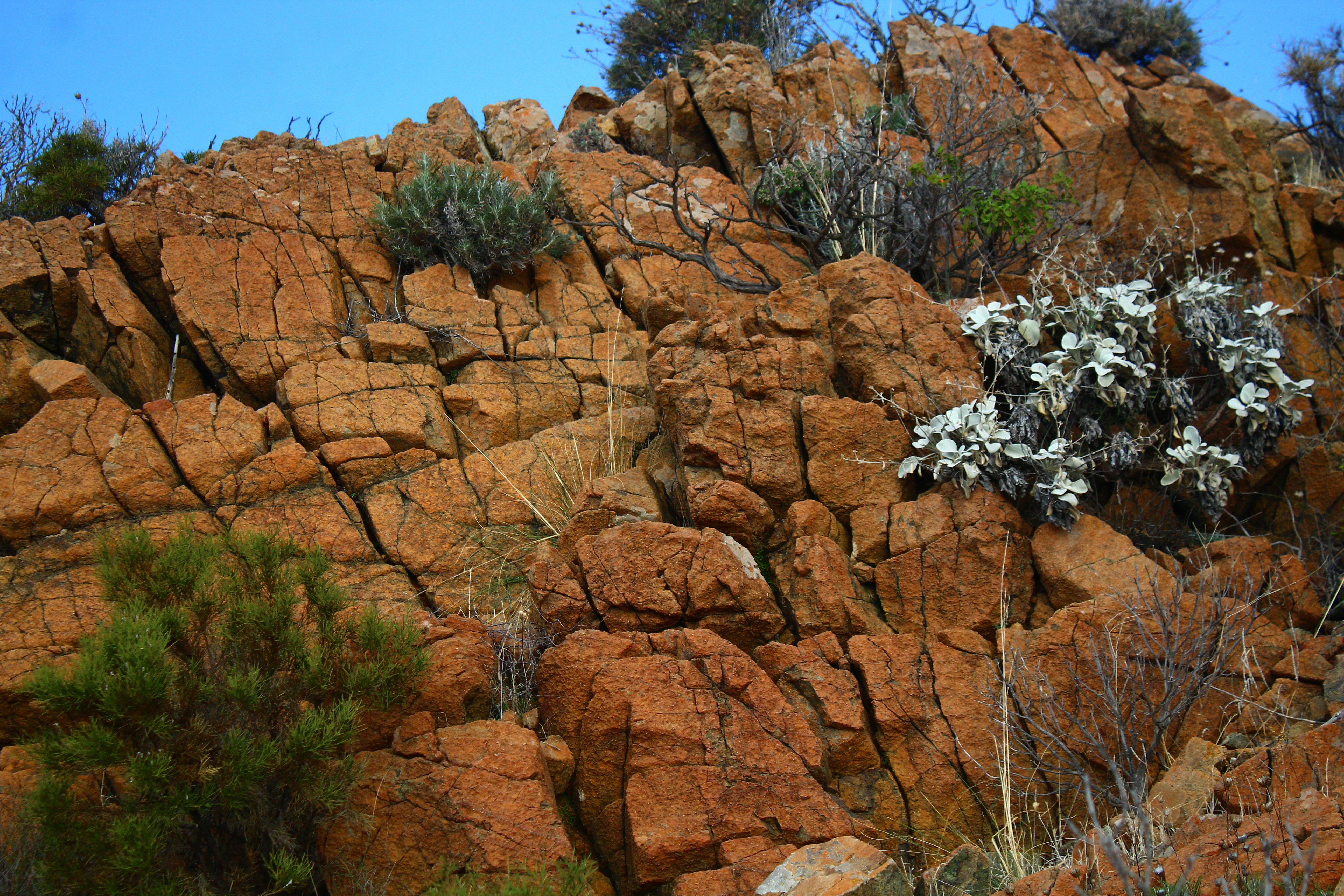 Red rock formation with sparse desert vegetation and white flowers.