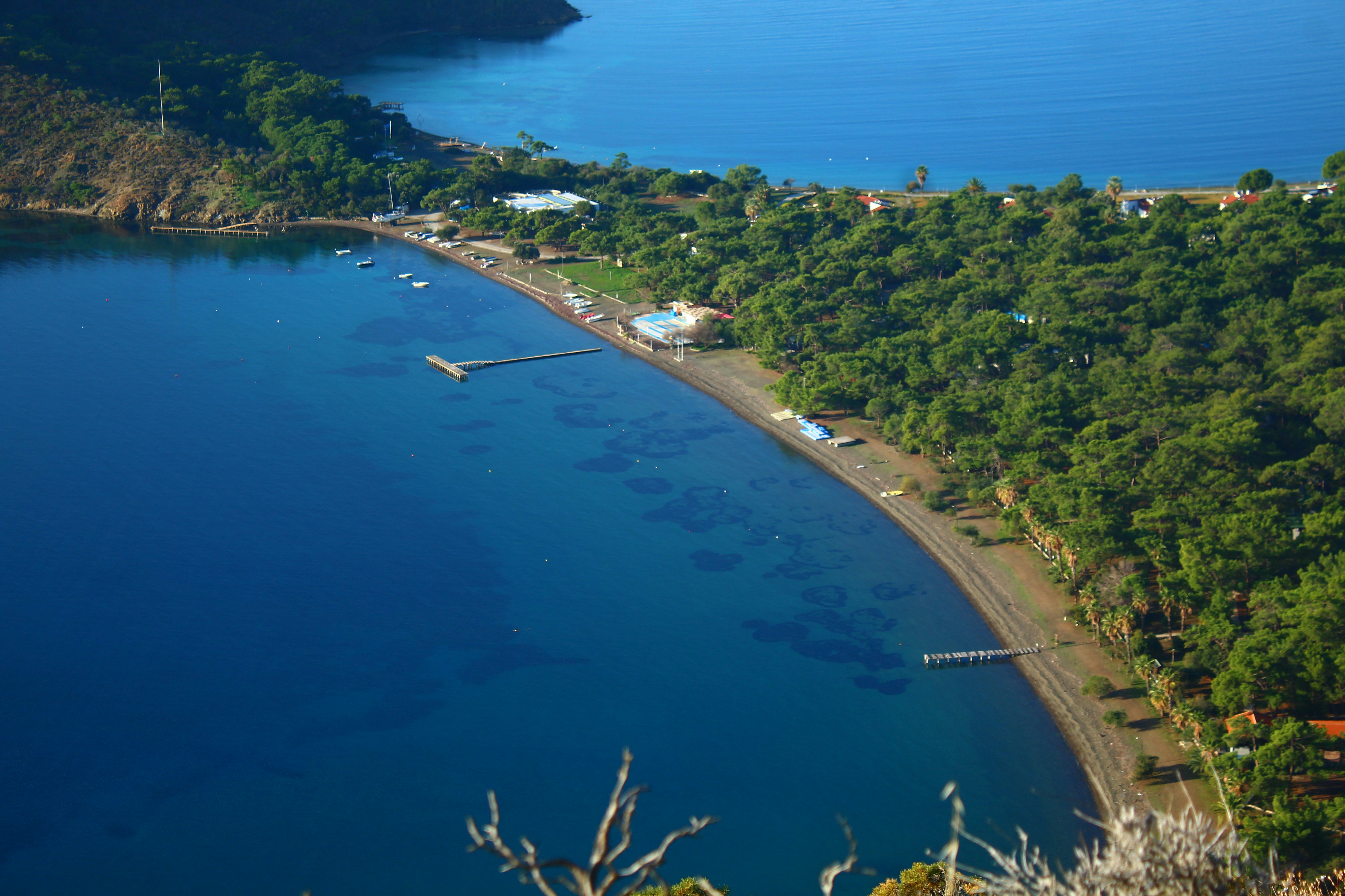Coastal village nestled between forest and blue ocean.