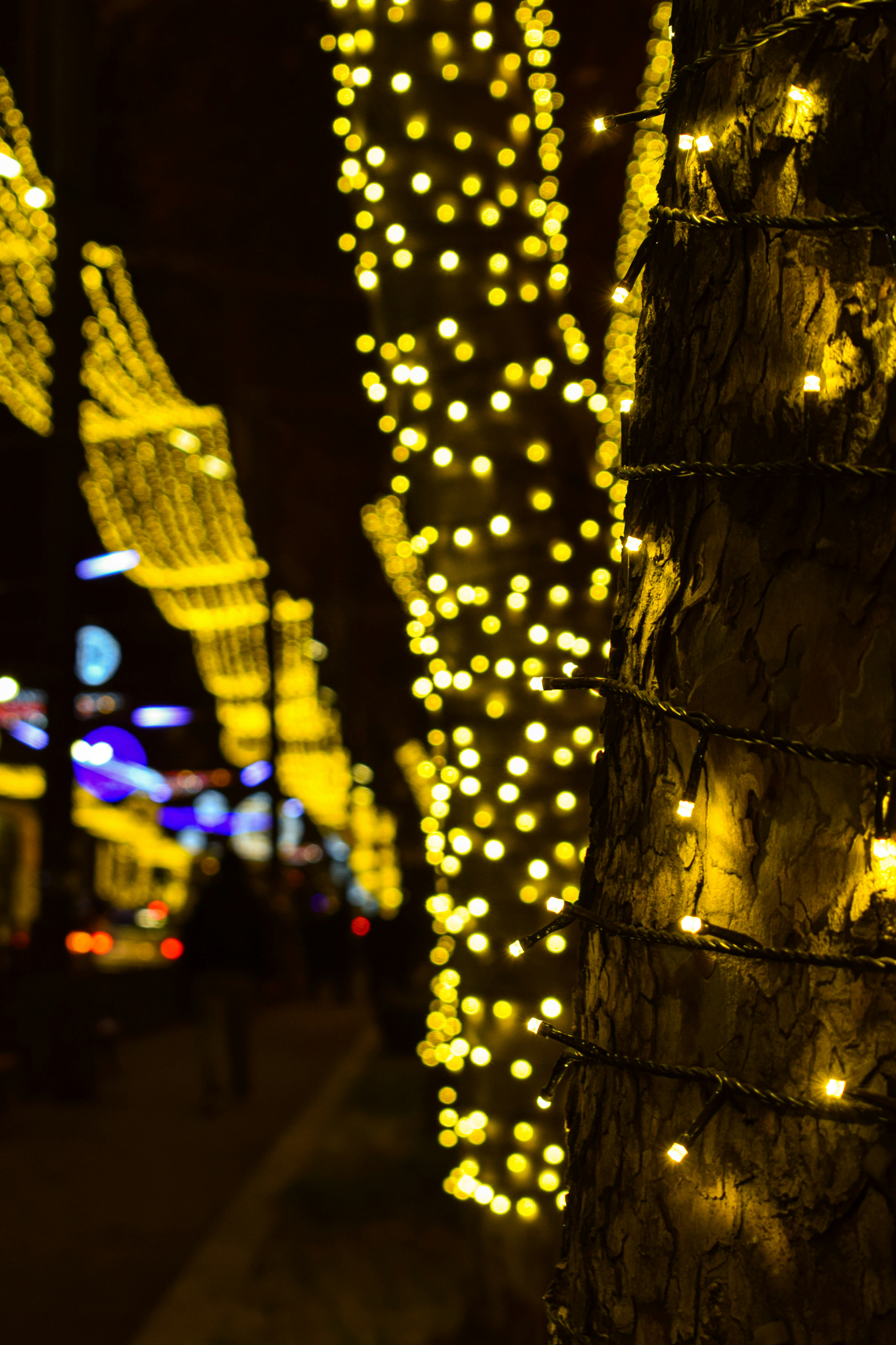 Photo by alexandre13