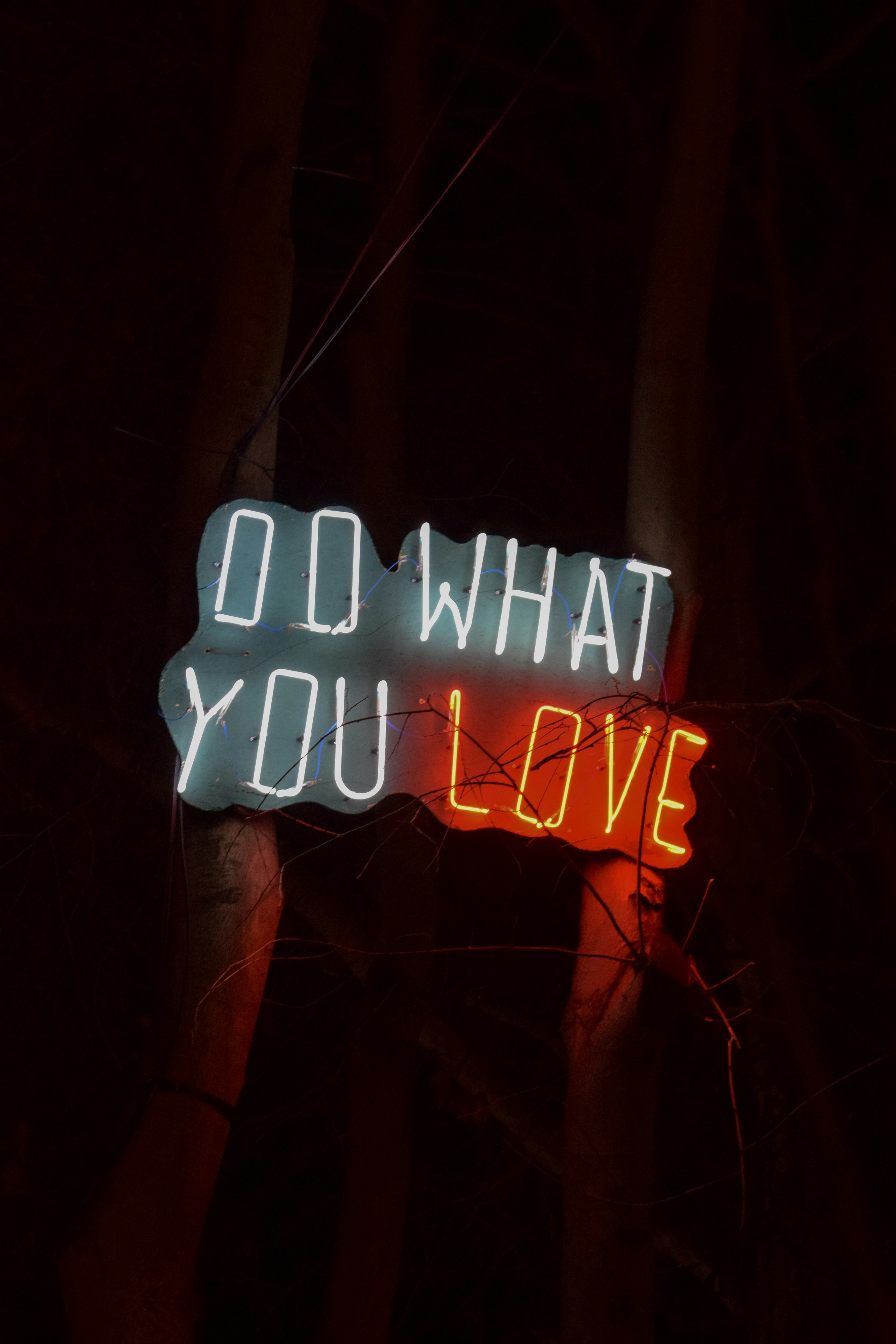 Photo by alexandre13