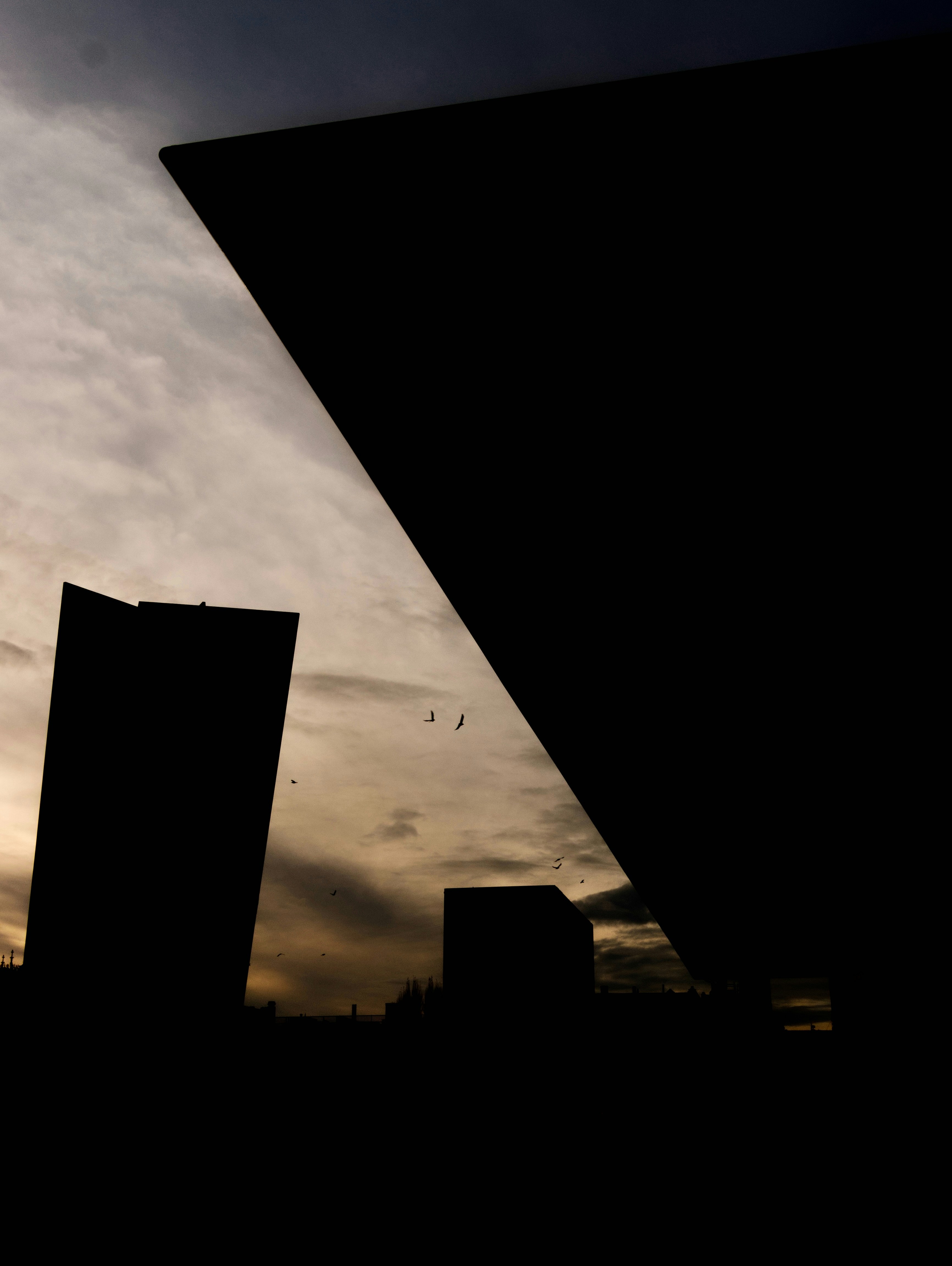 Photo by lorenzosardelli