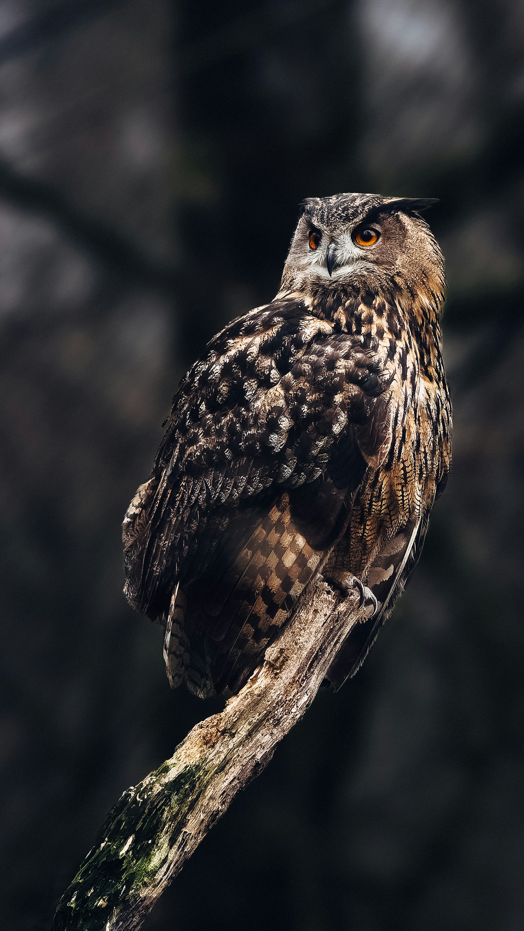 Photo by danny_rienecker