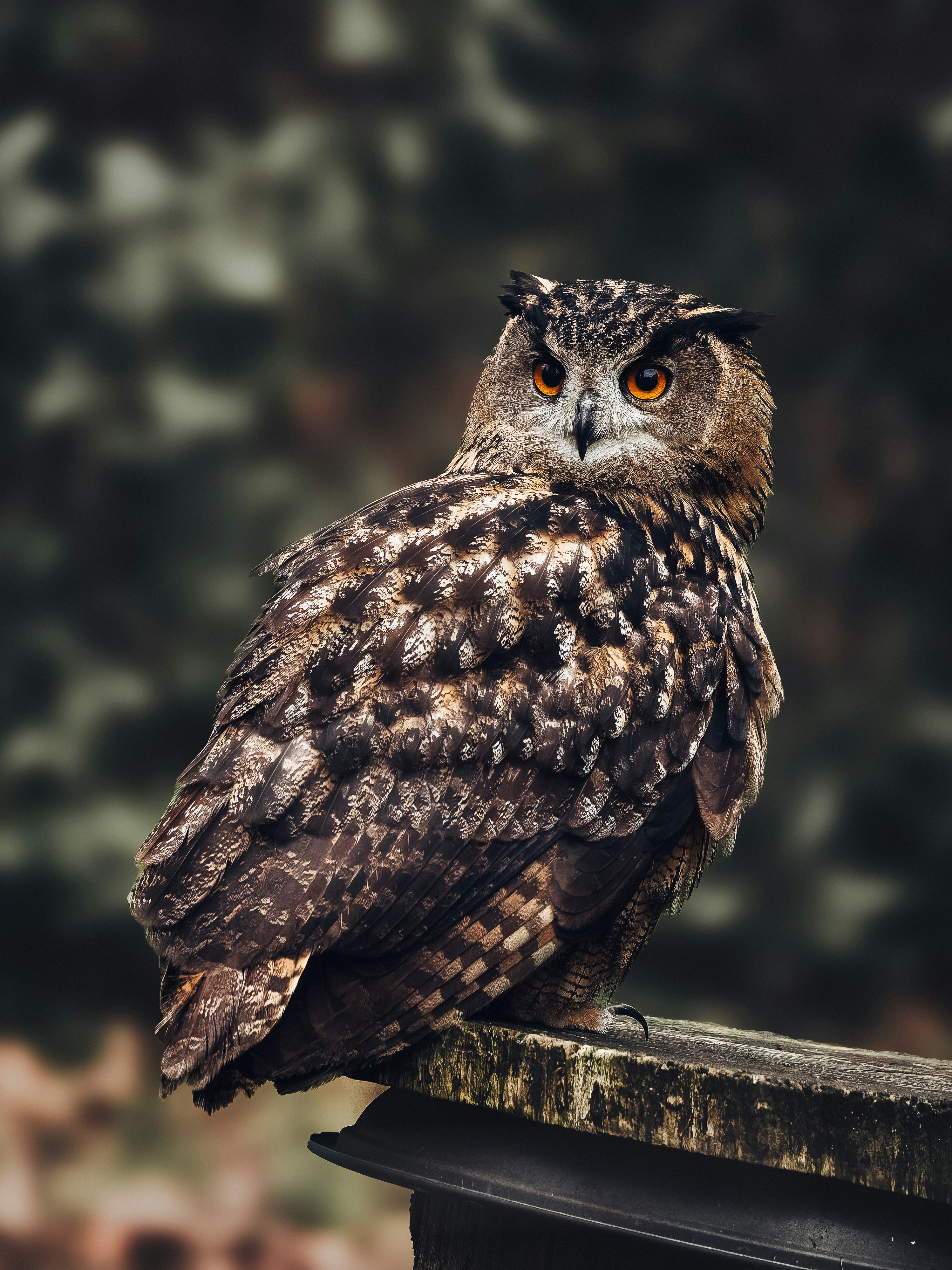 Photo by danny_rienecker