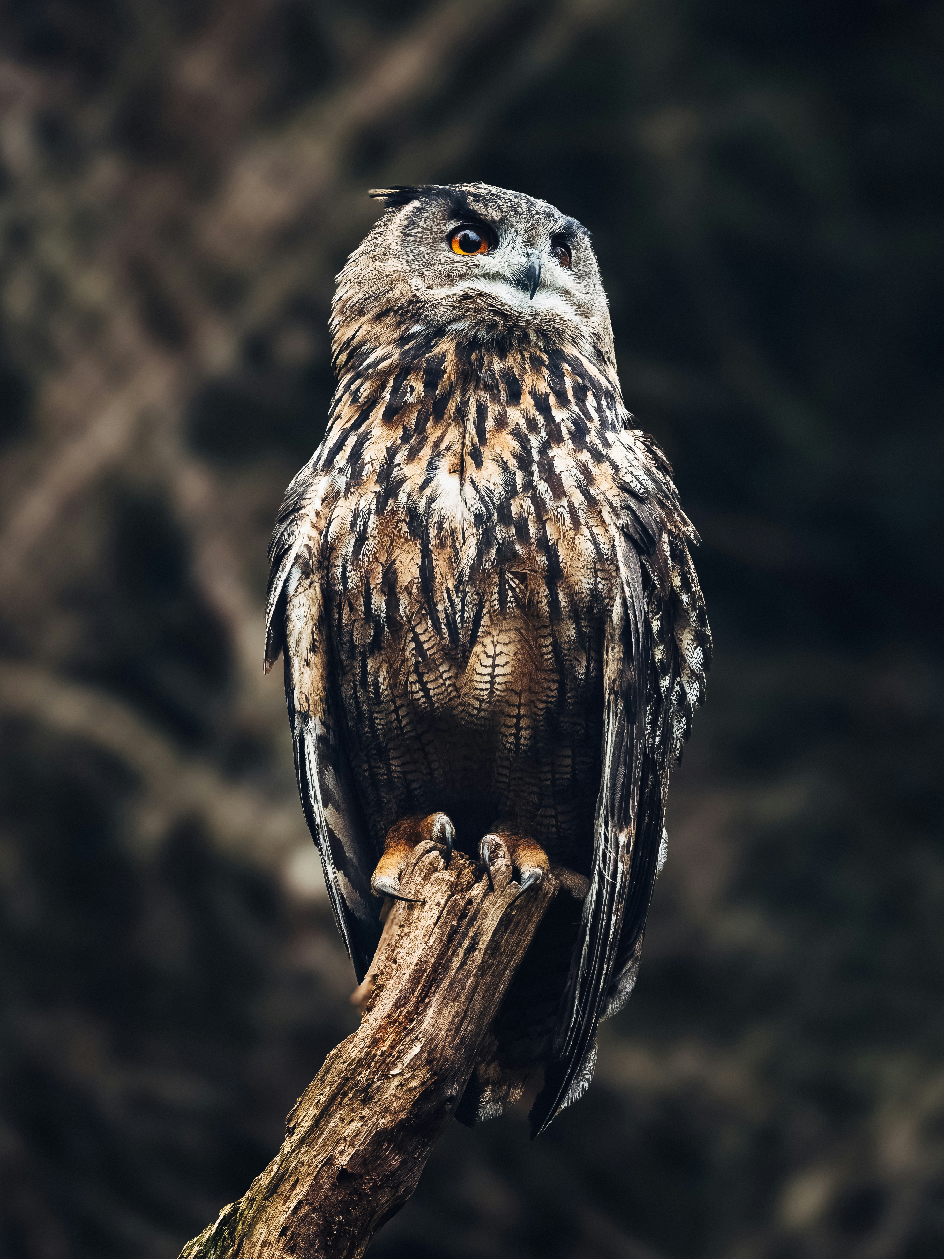 Photo by danny_rienecker