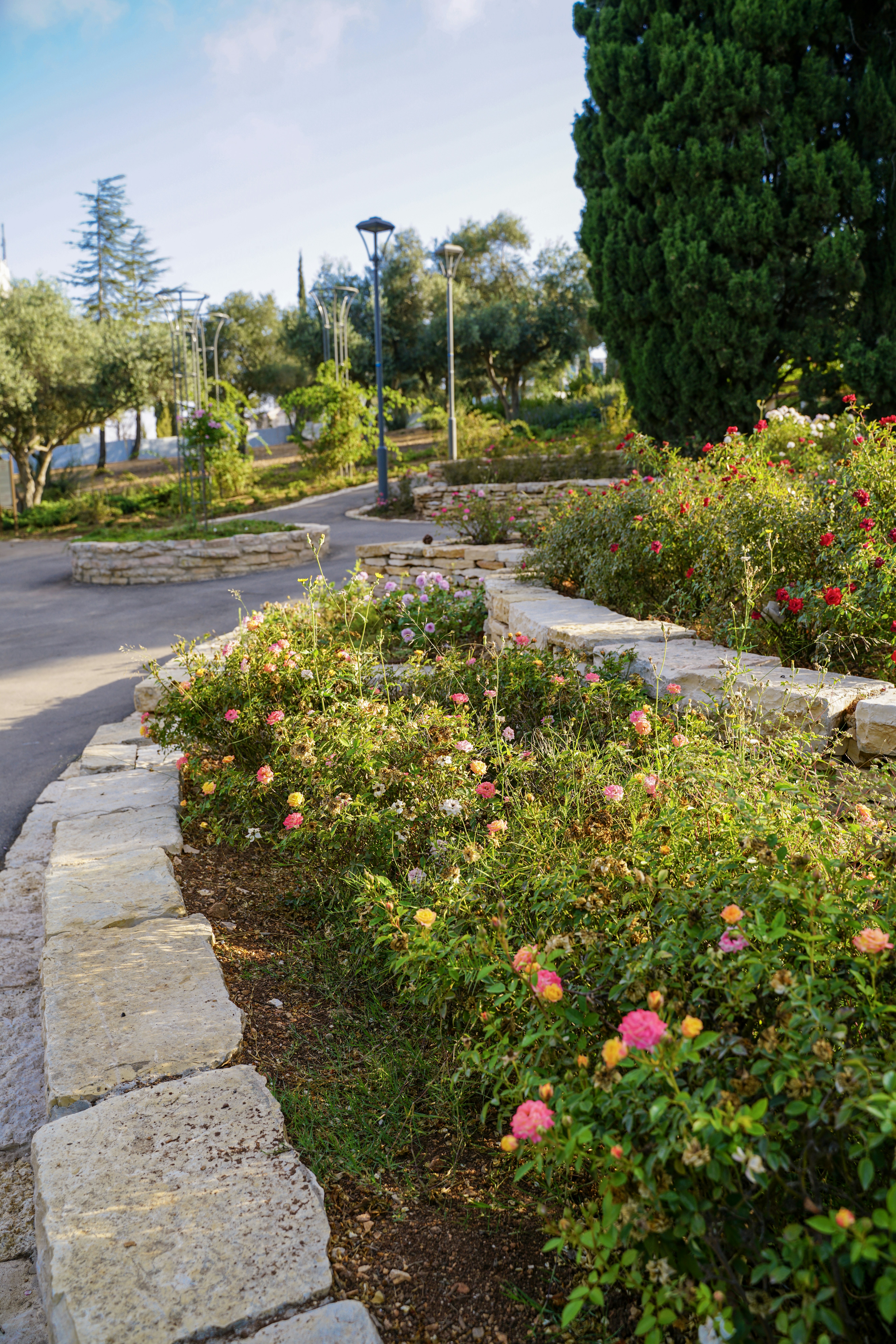 Photo by George 🦅