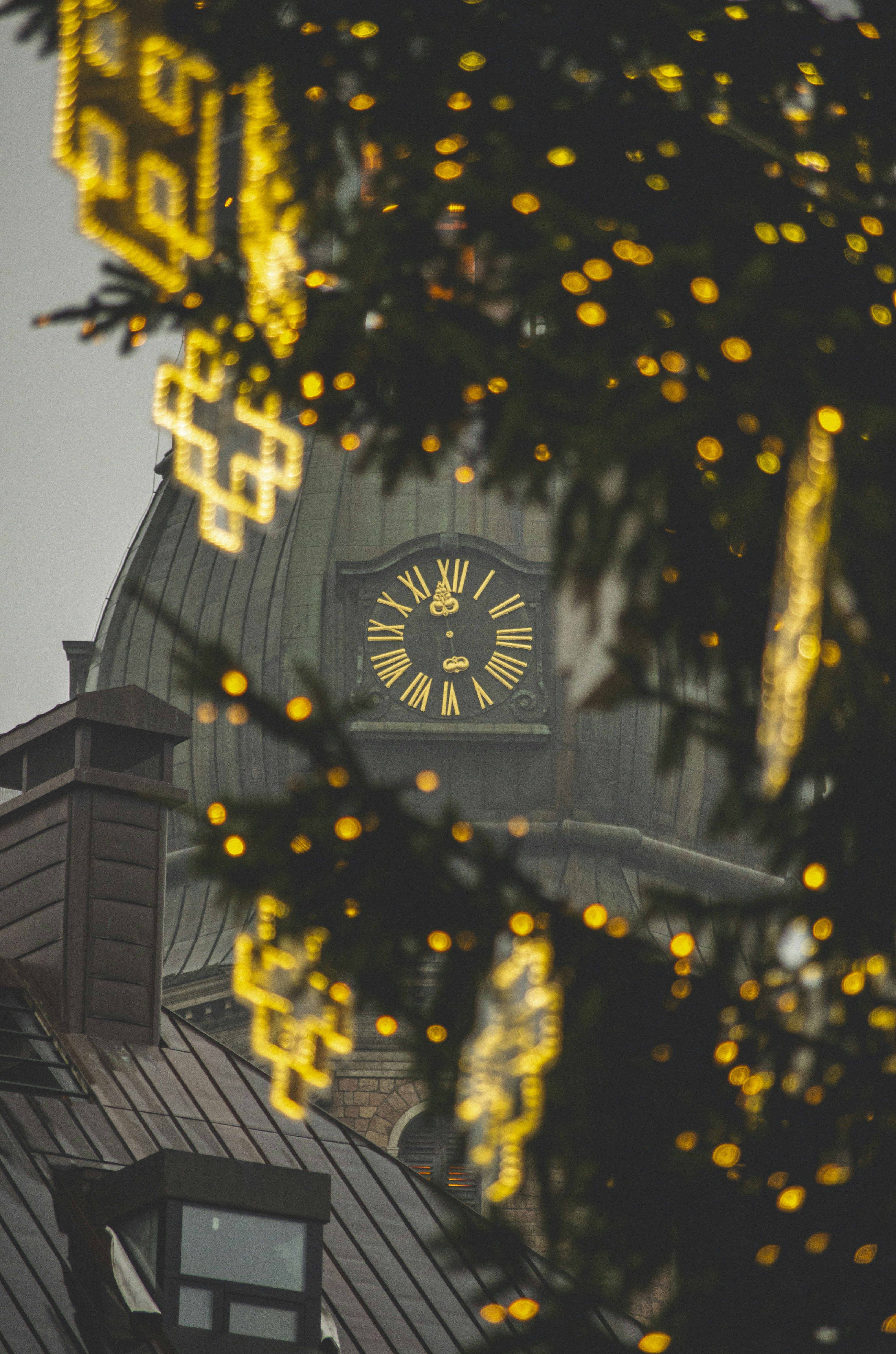 Christmas tree lights with clock tower in background