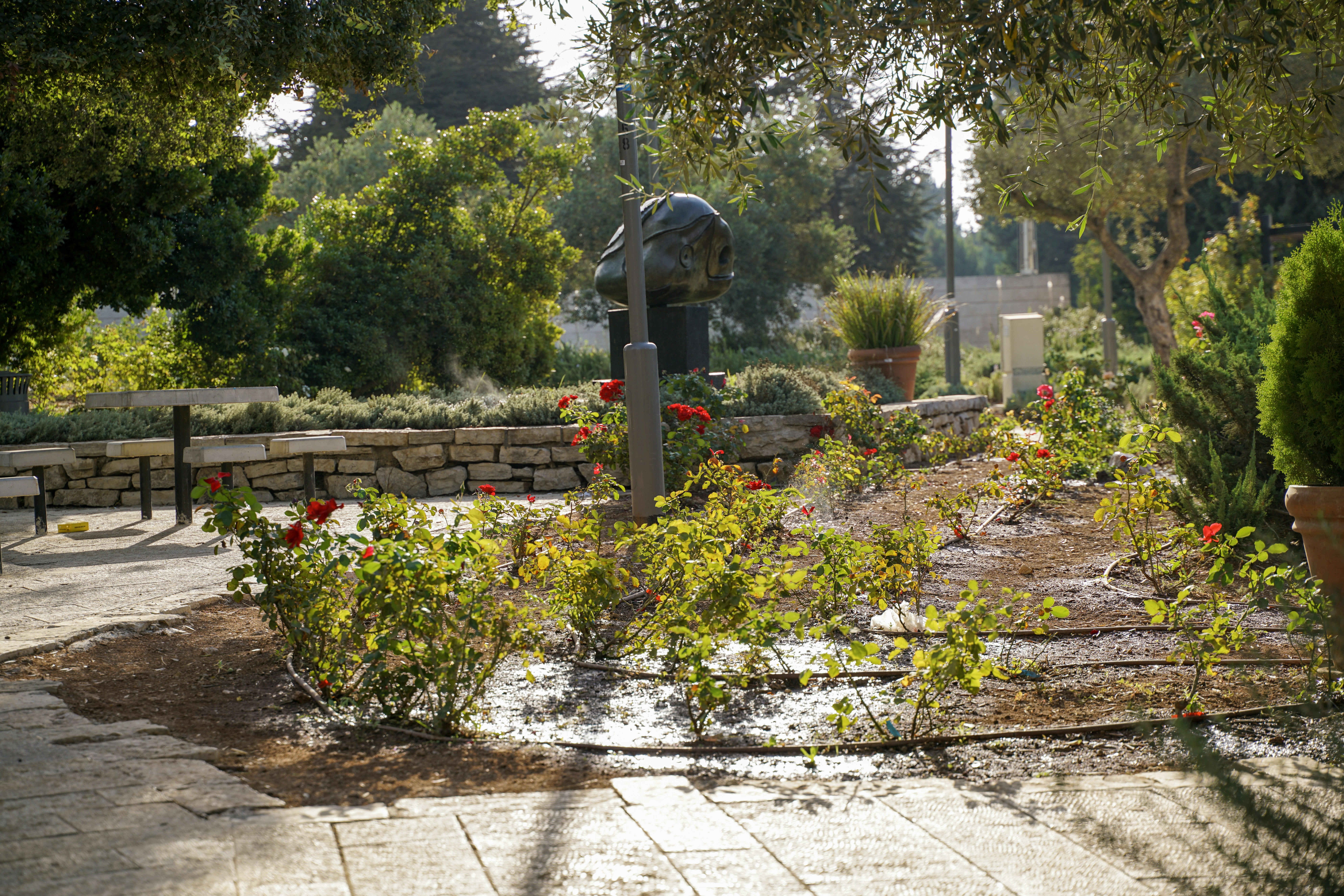 irrigation installation