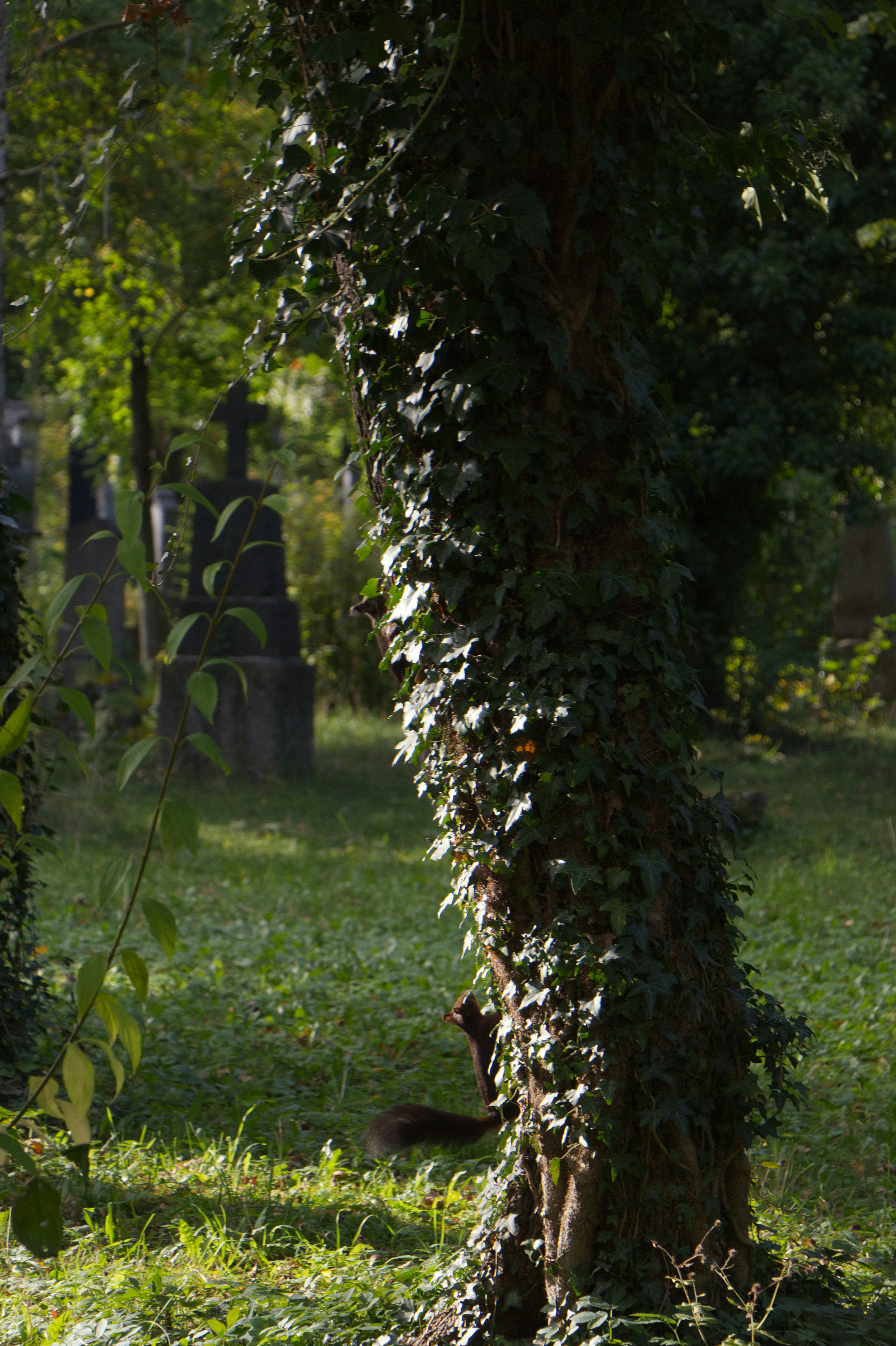 Photo by spaceboundstudio