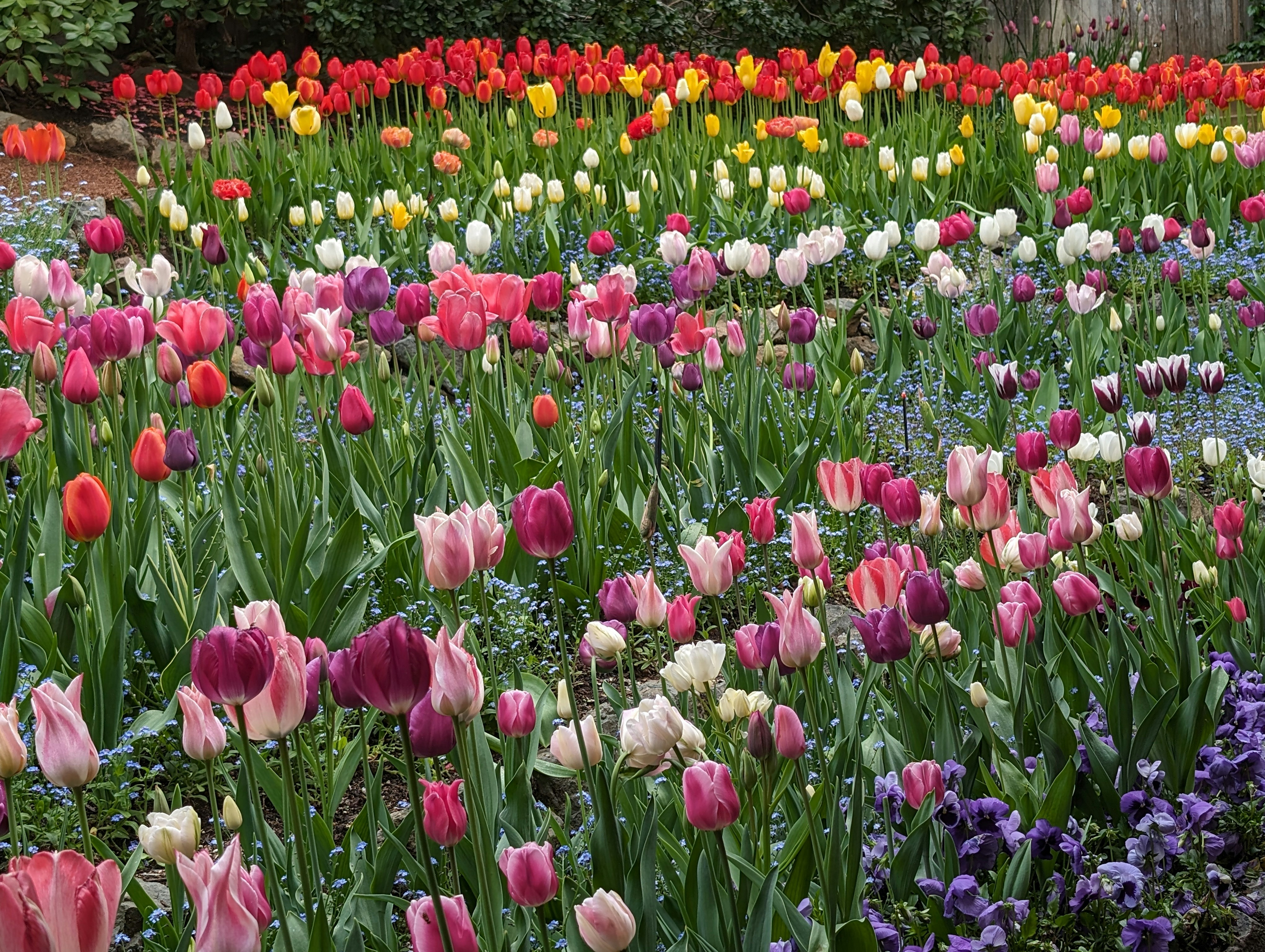 Photo by the_real_real