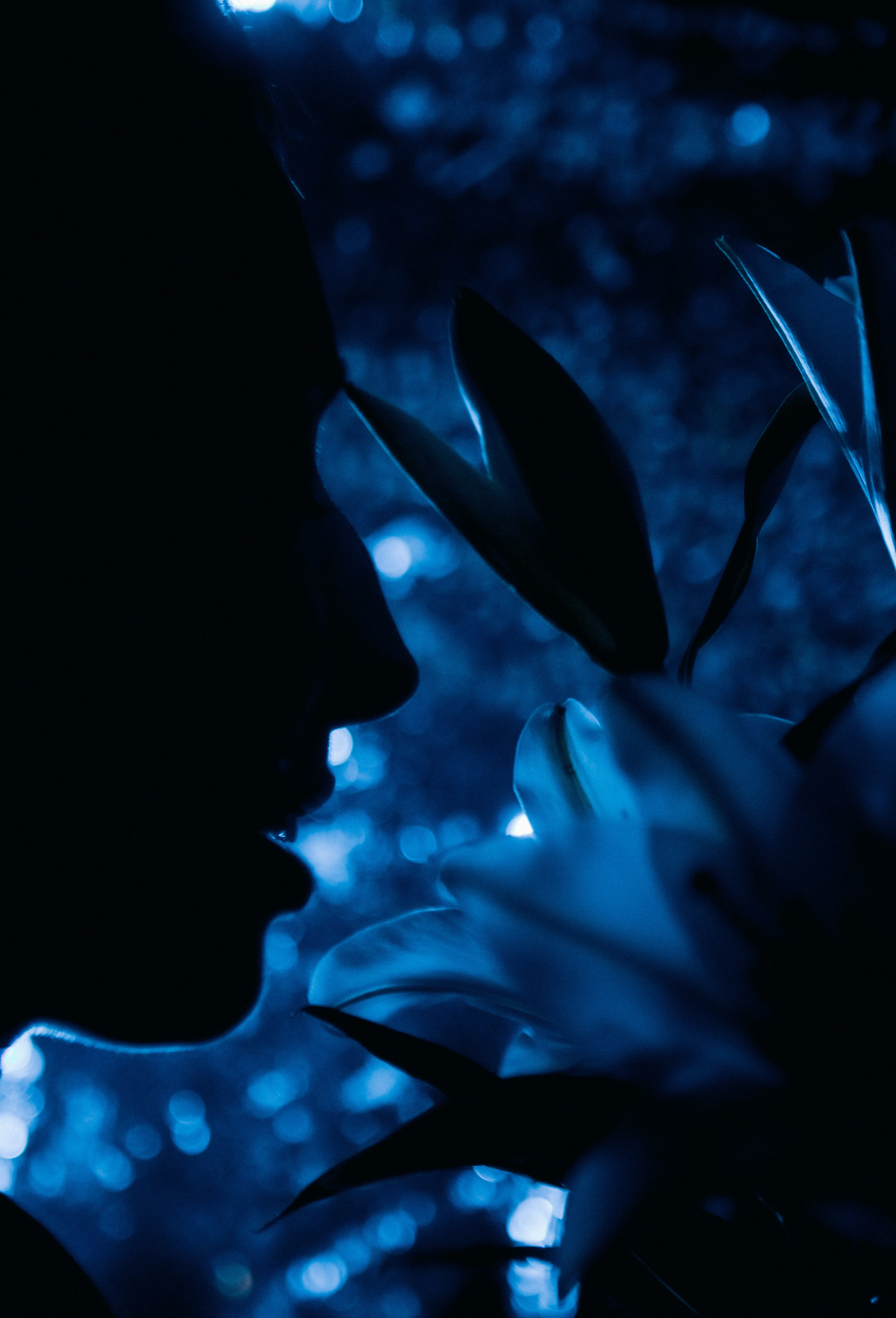 Silhouette of a person smelling a flower