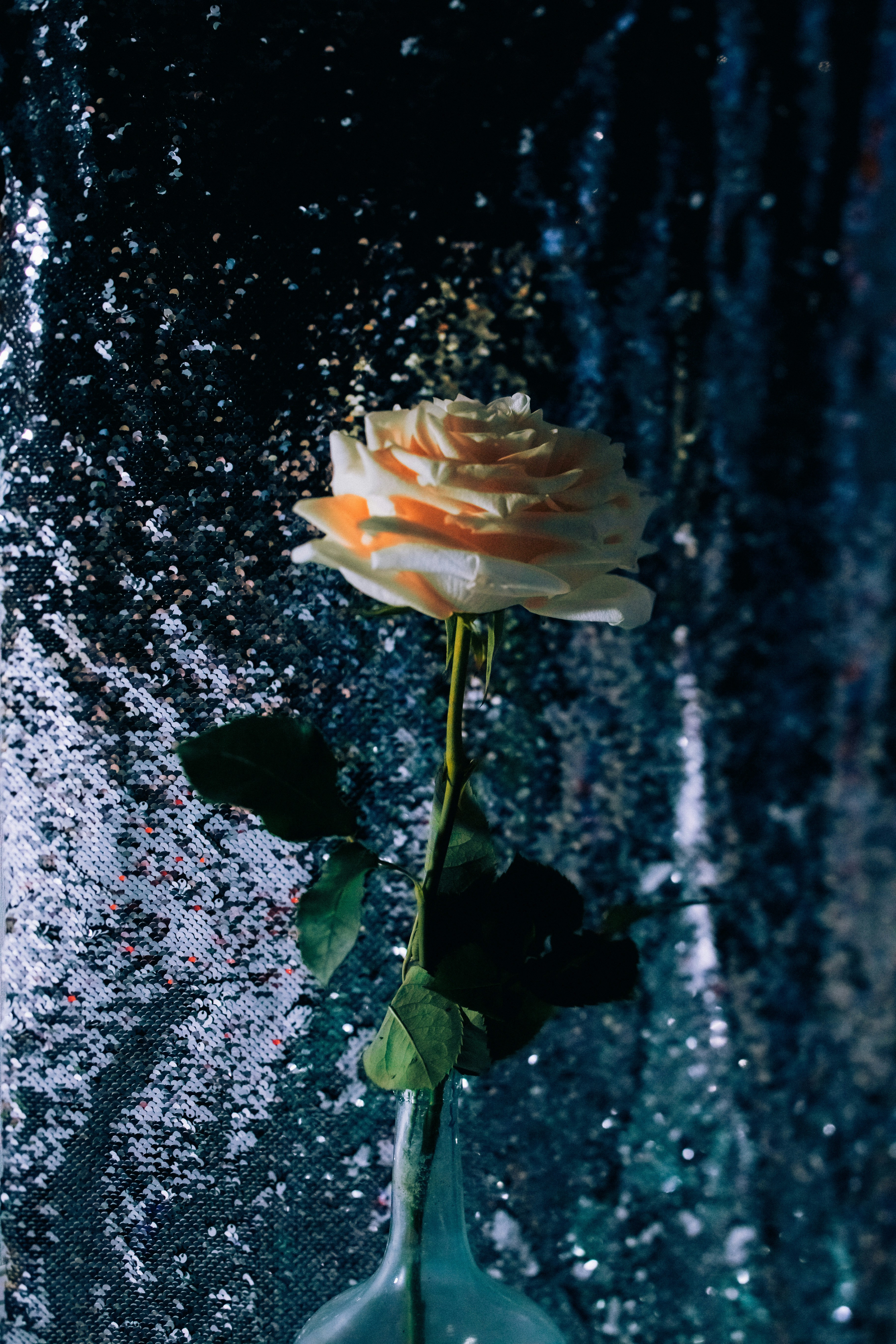 Glowing anime-style rose in dark and dreamlike artwork on Craiyon, image size:3000x4500