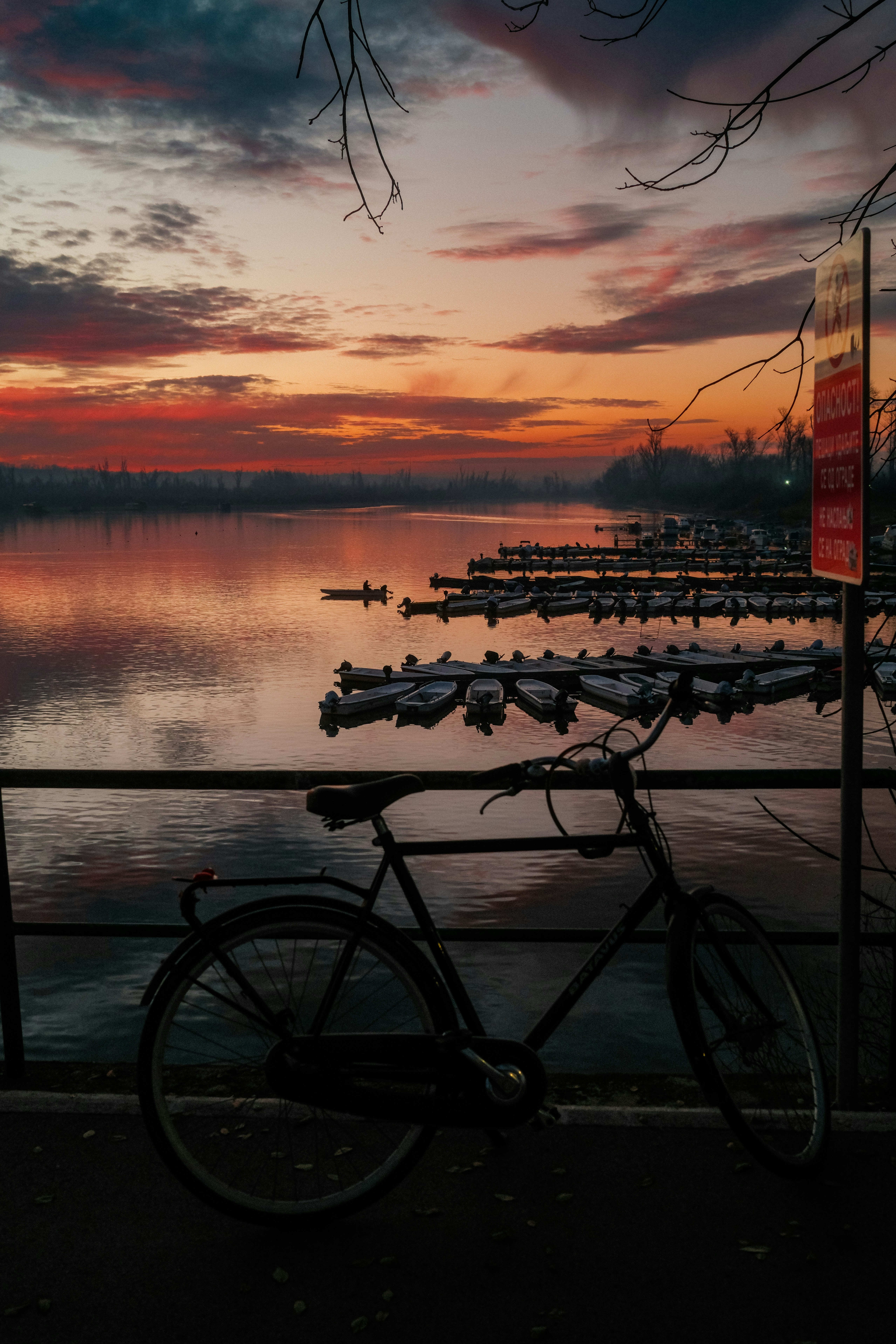 Bicycle parked by a lake at sunset