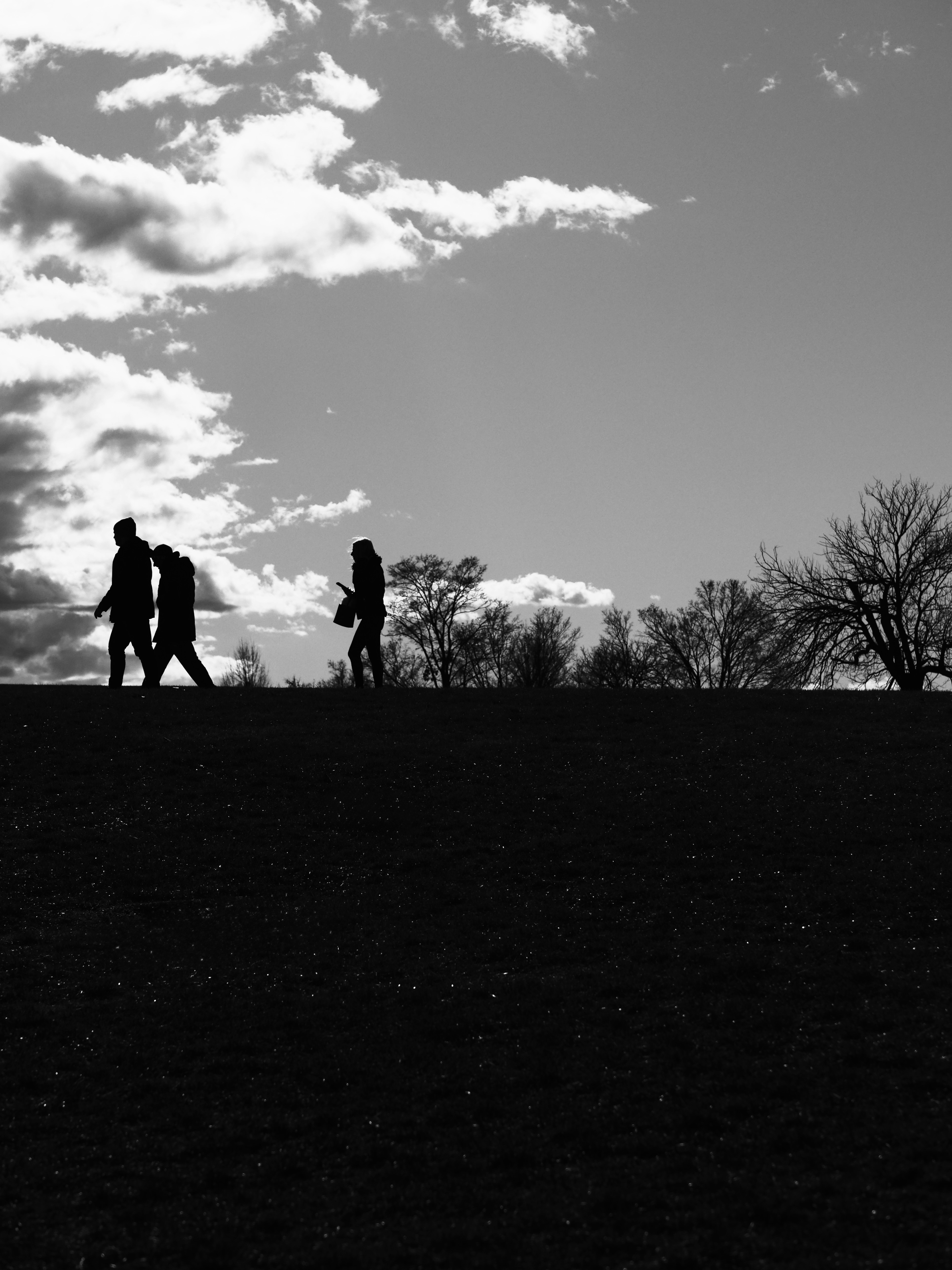 Photo by sschusterphotoart