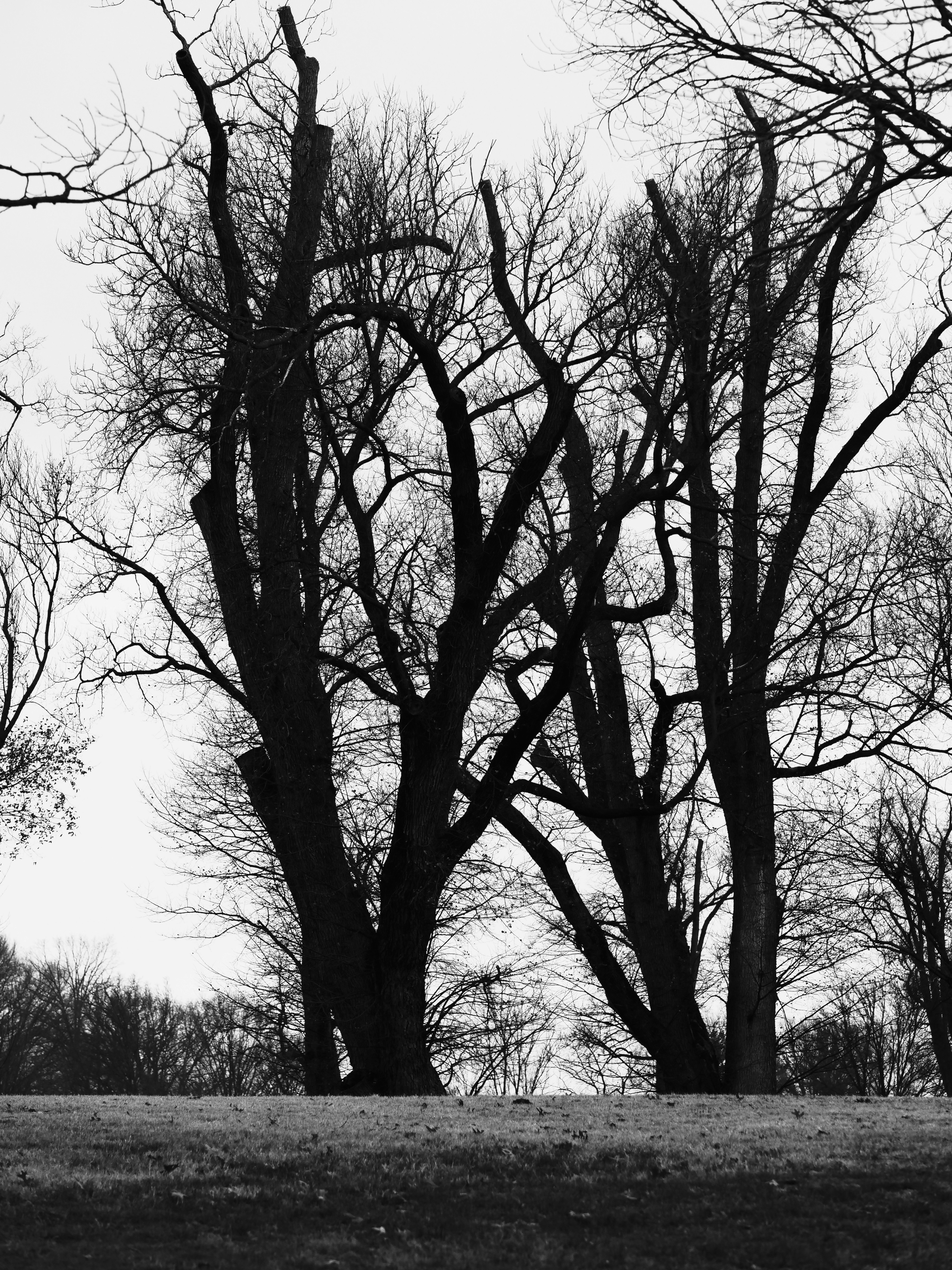 Photo by sschusterphotoart