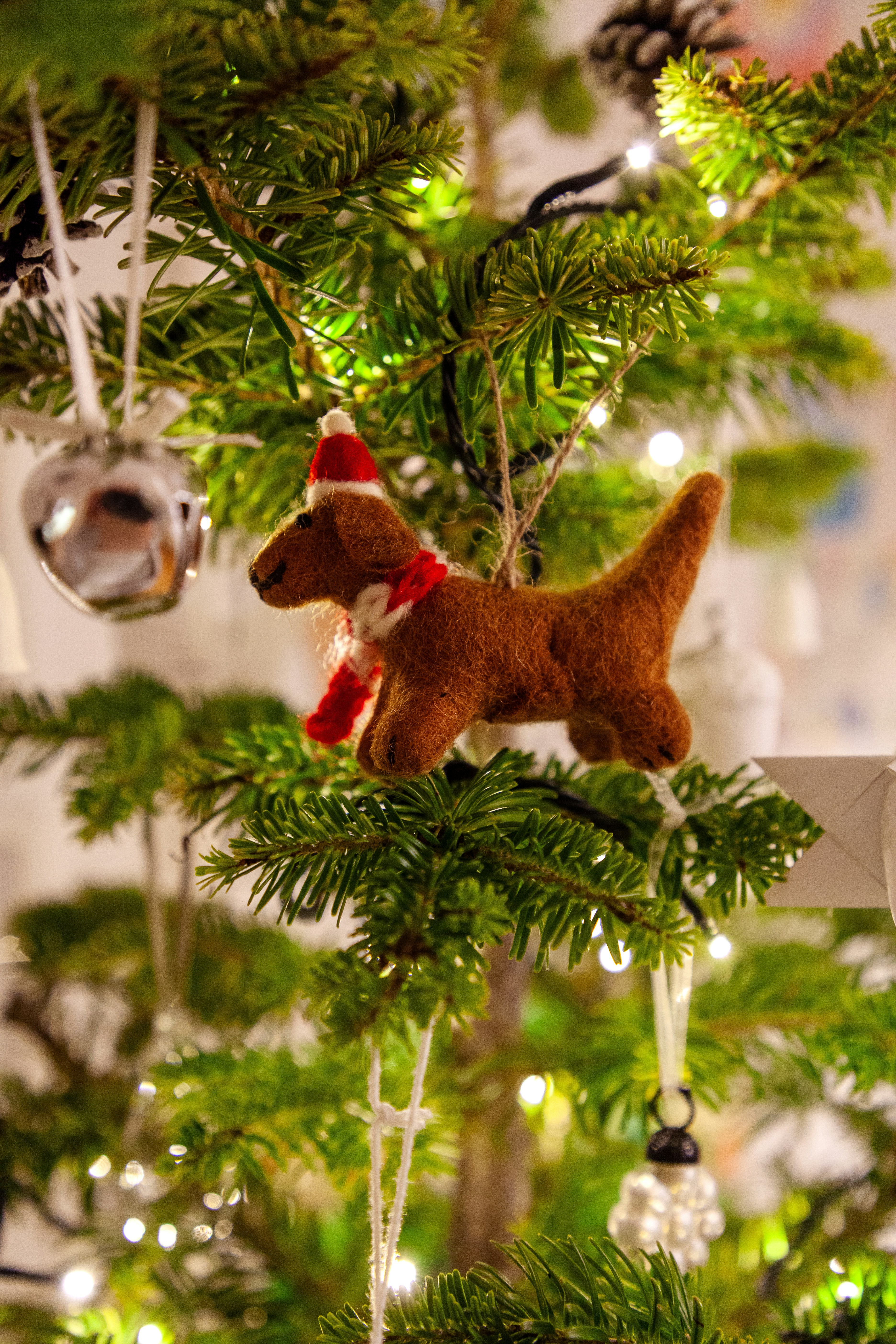 Photo by campfire_guy