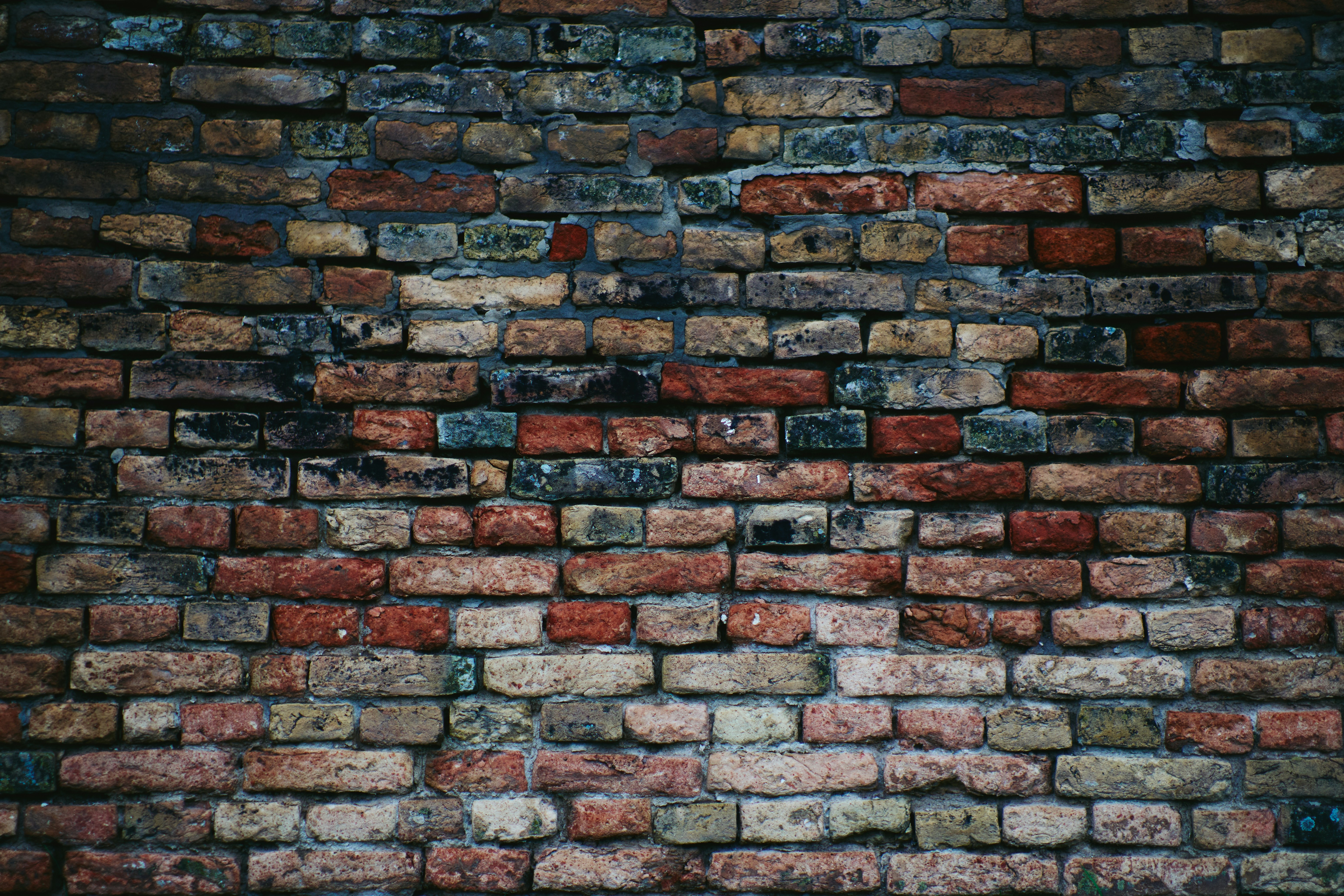 Photo by toffeeposibilities